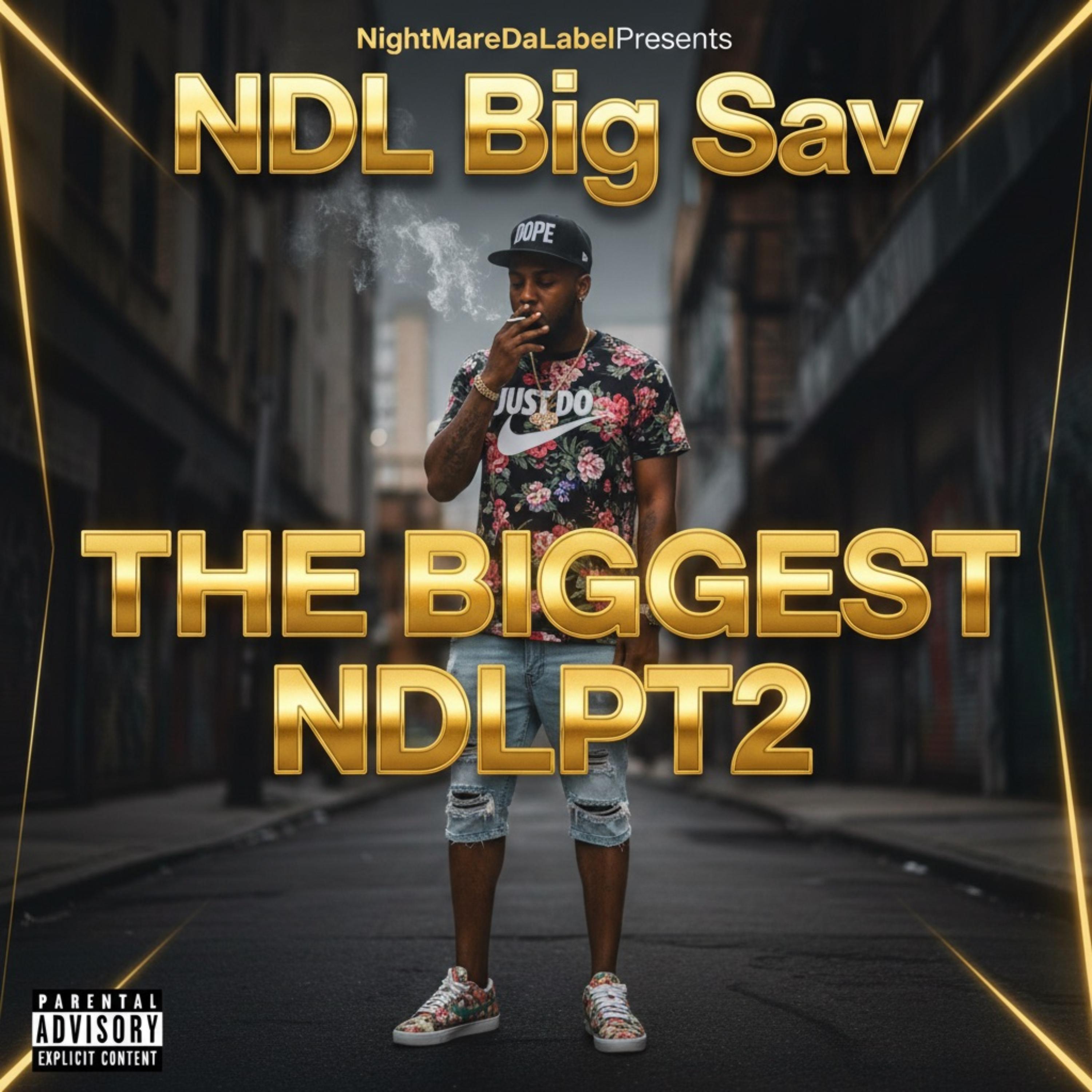 The Biggest NDLPt2 artwork