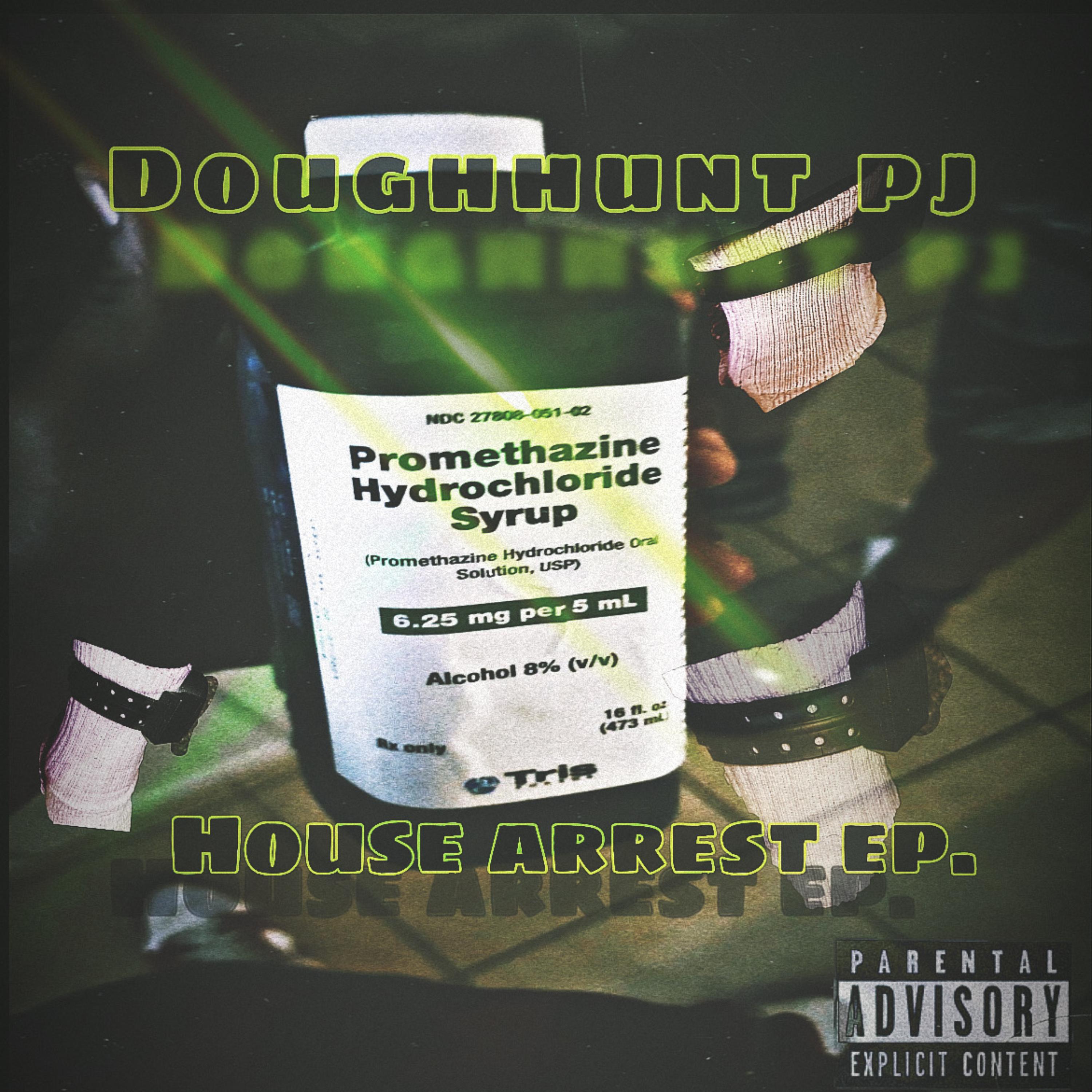 House Arrest artwork