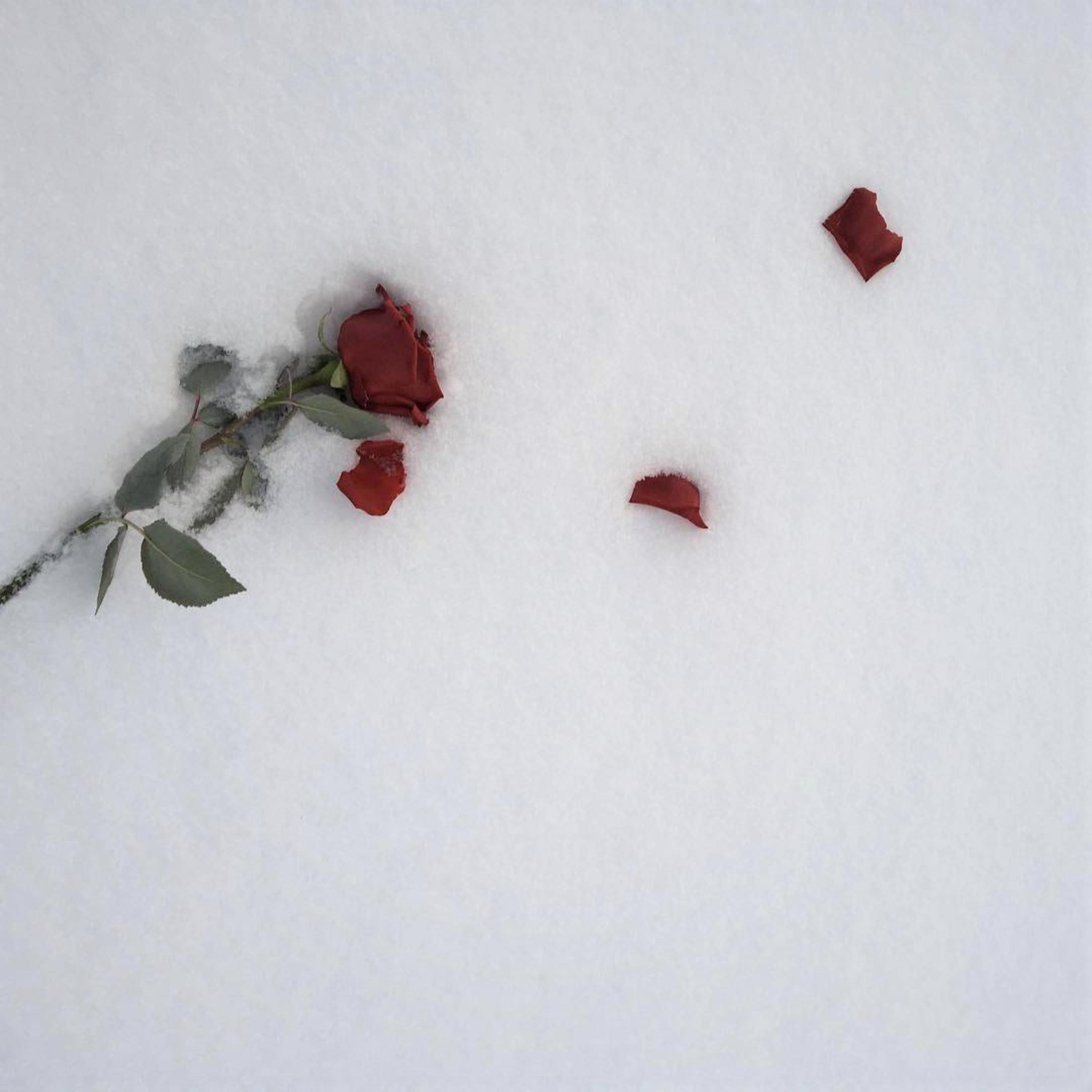 Cold artwork