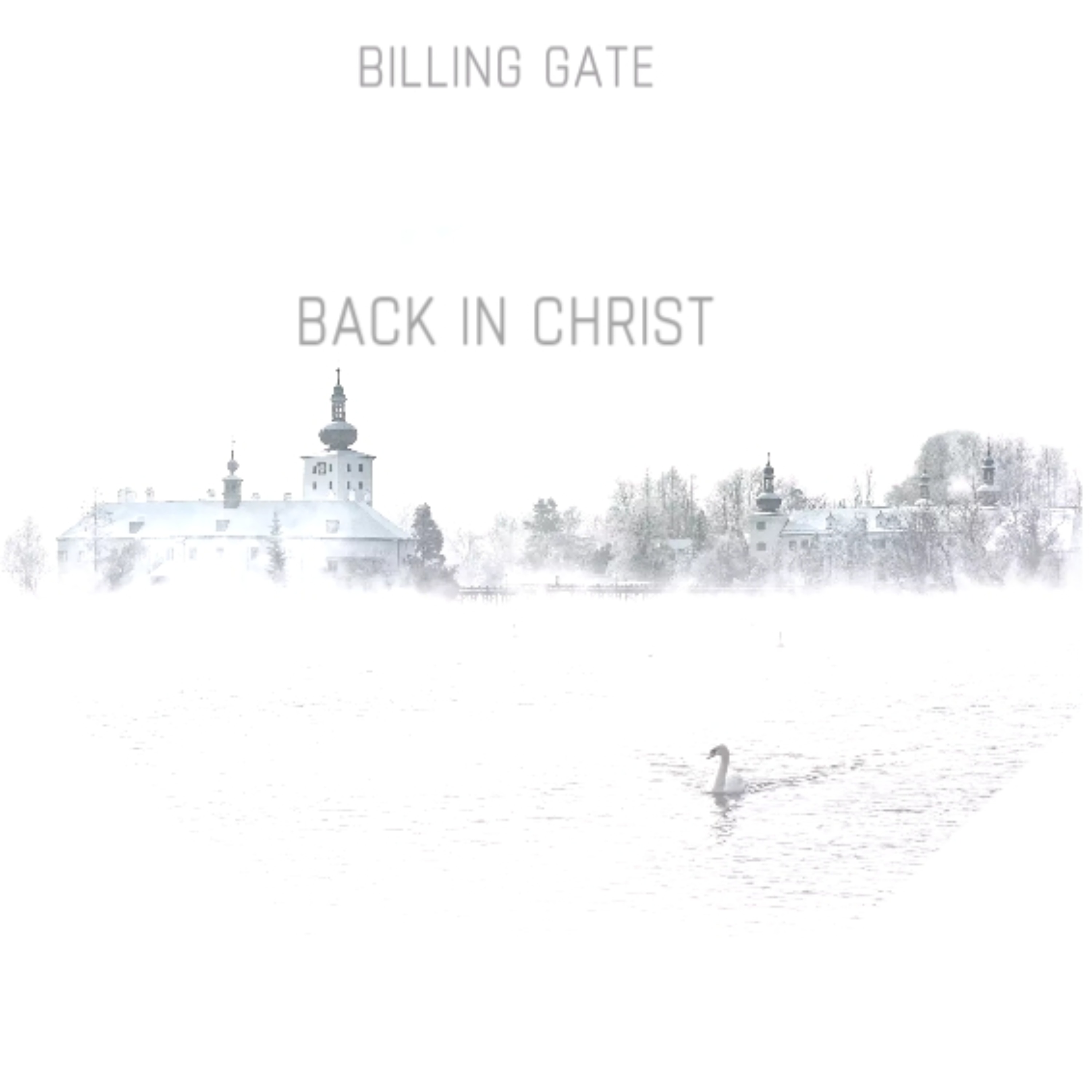 BACK IN CHRIST artwork