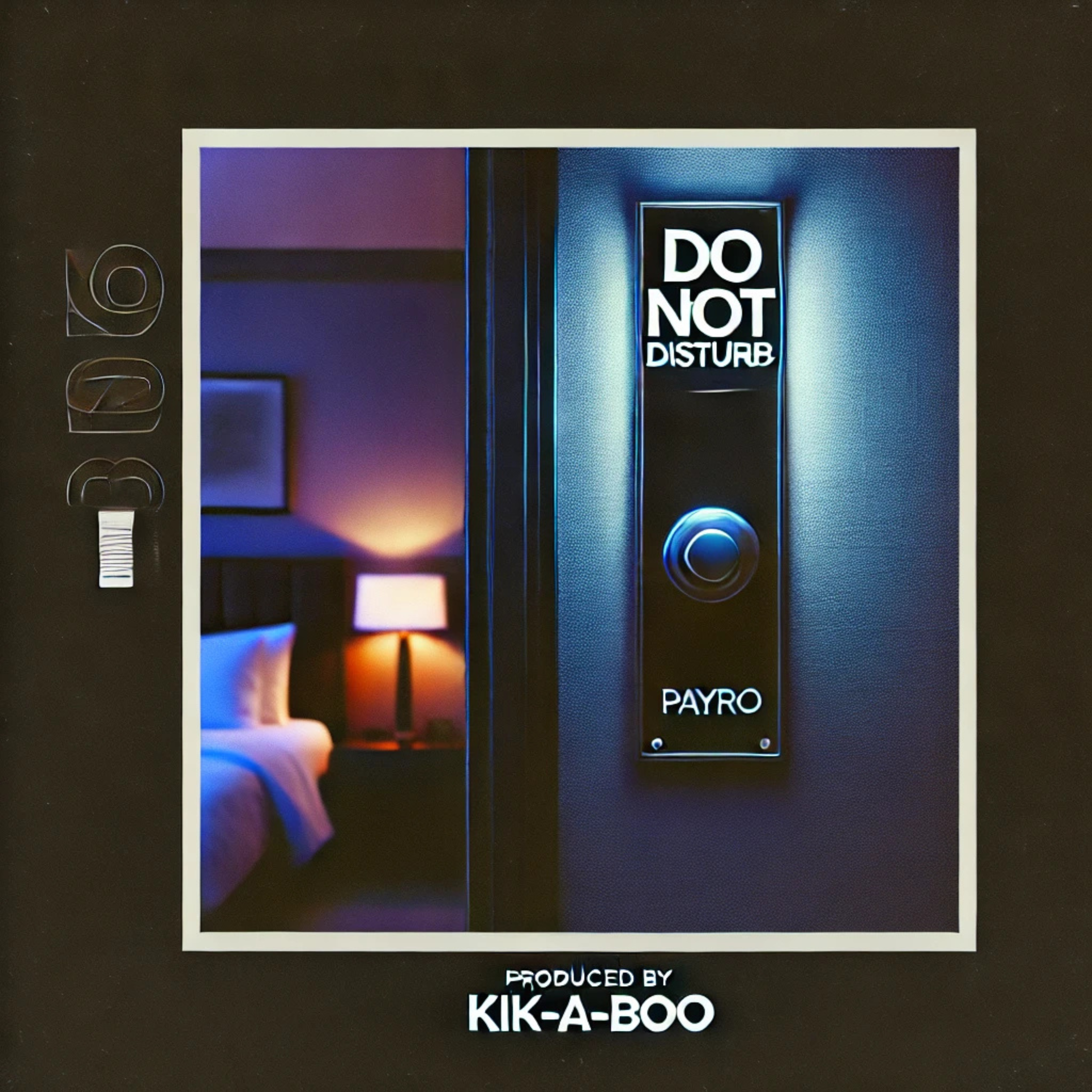 Do Not Disturb artwork