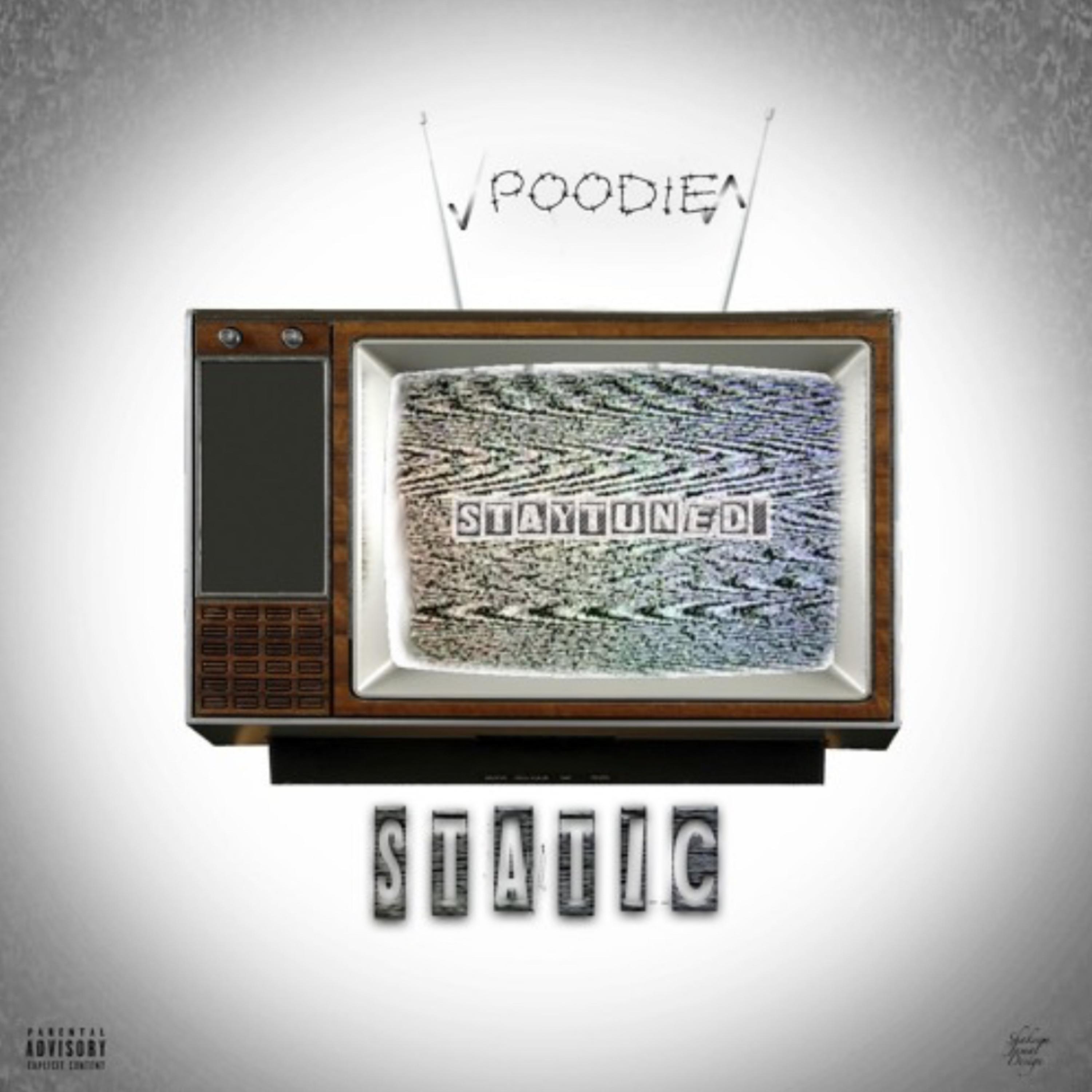 STATIC by STAYTUNED POODIE cover art