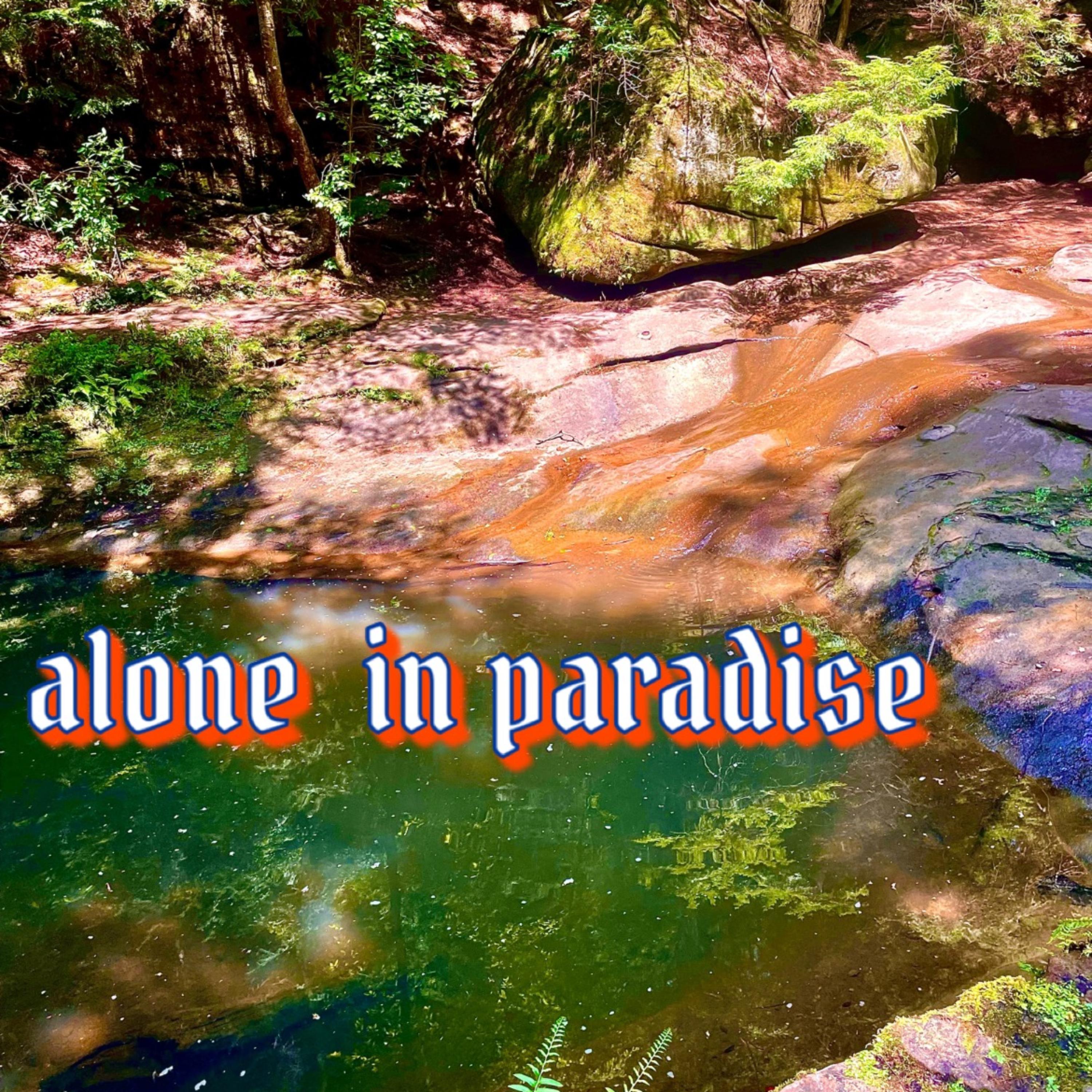 Alone in Paradise artwork