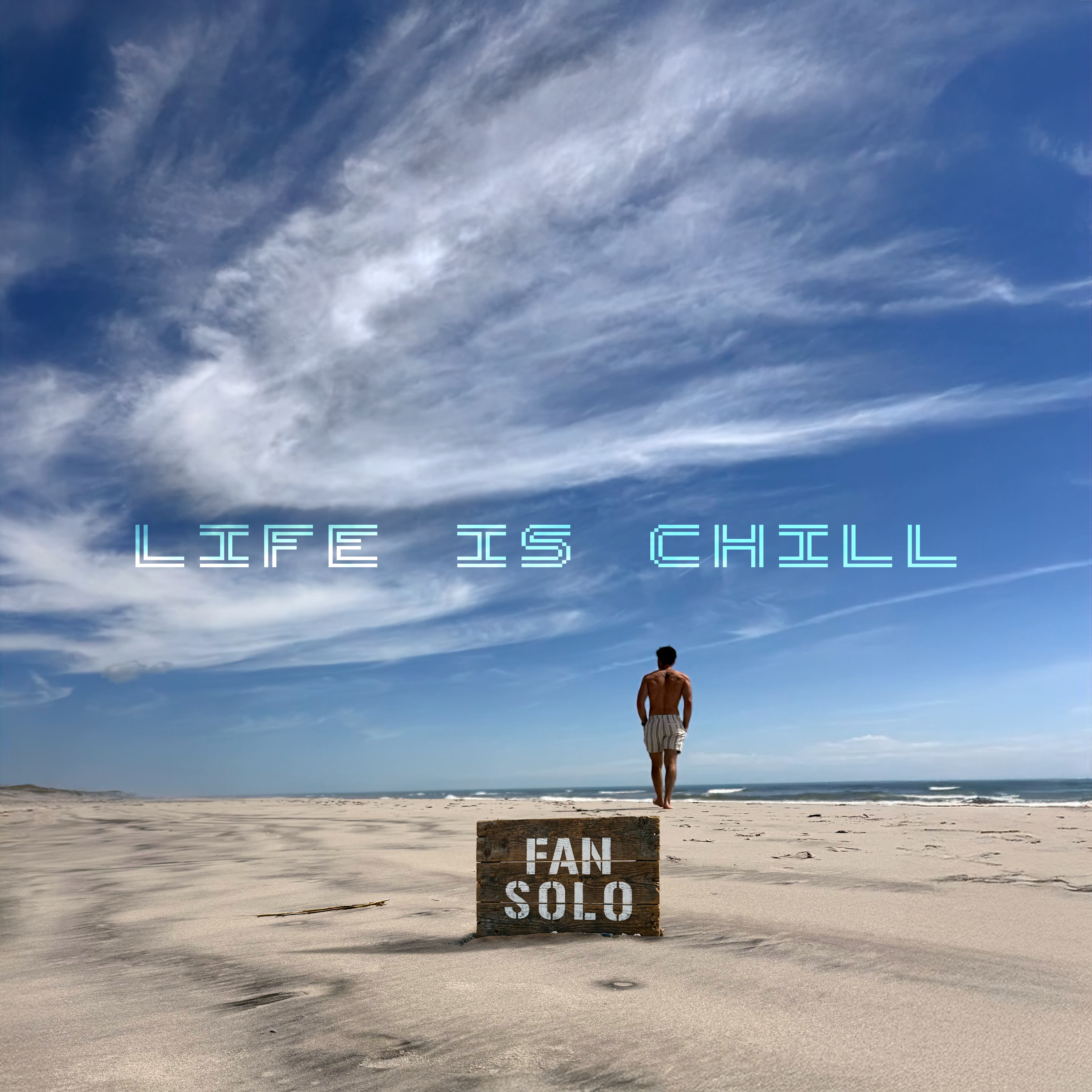 Life Is Chill by Fan Solo cover art