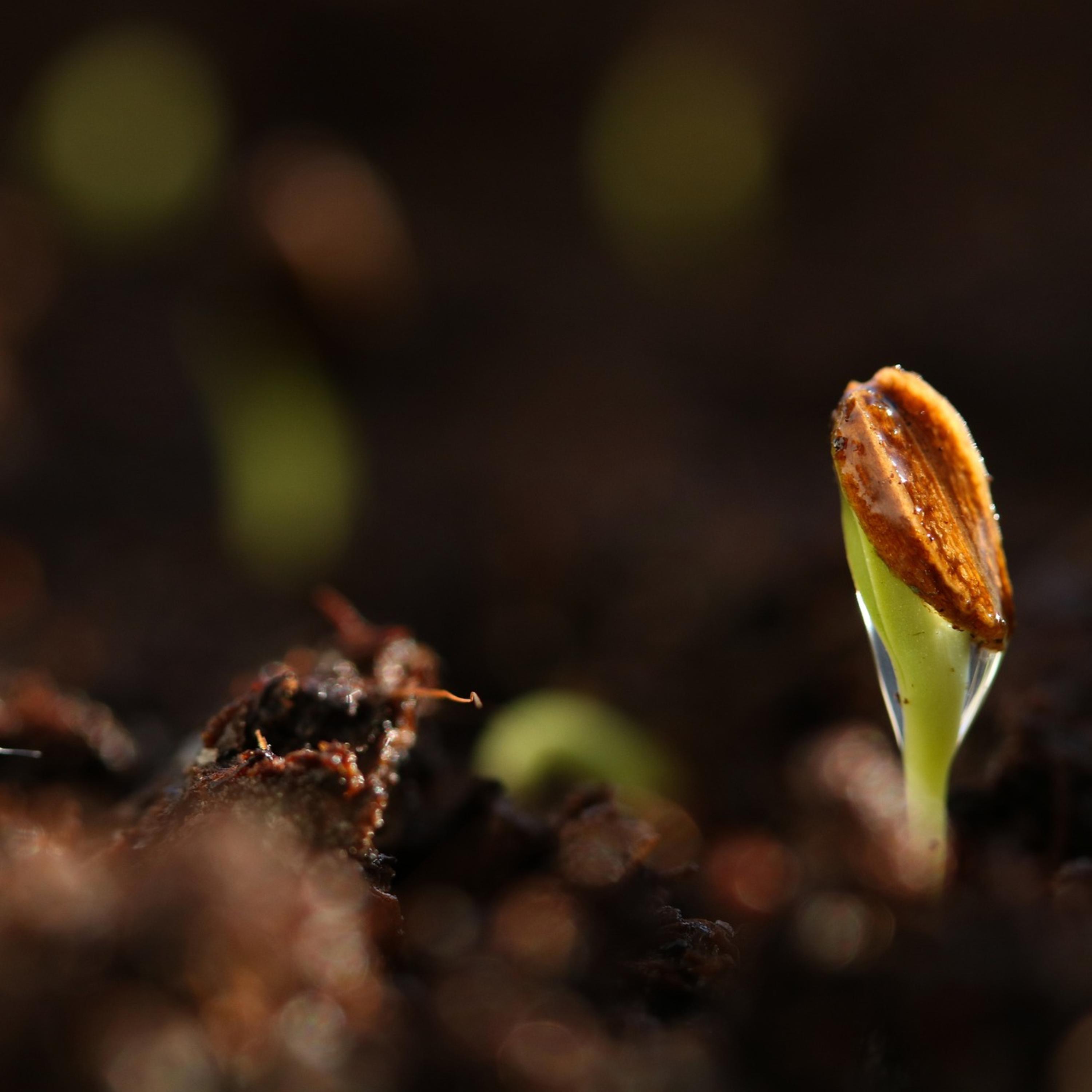 lucky to know lucky to grow artwork