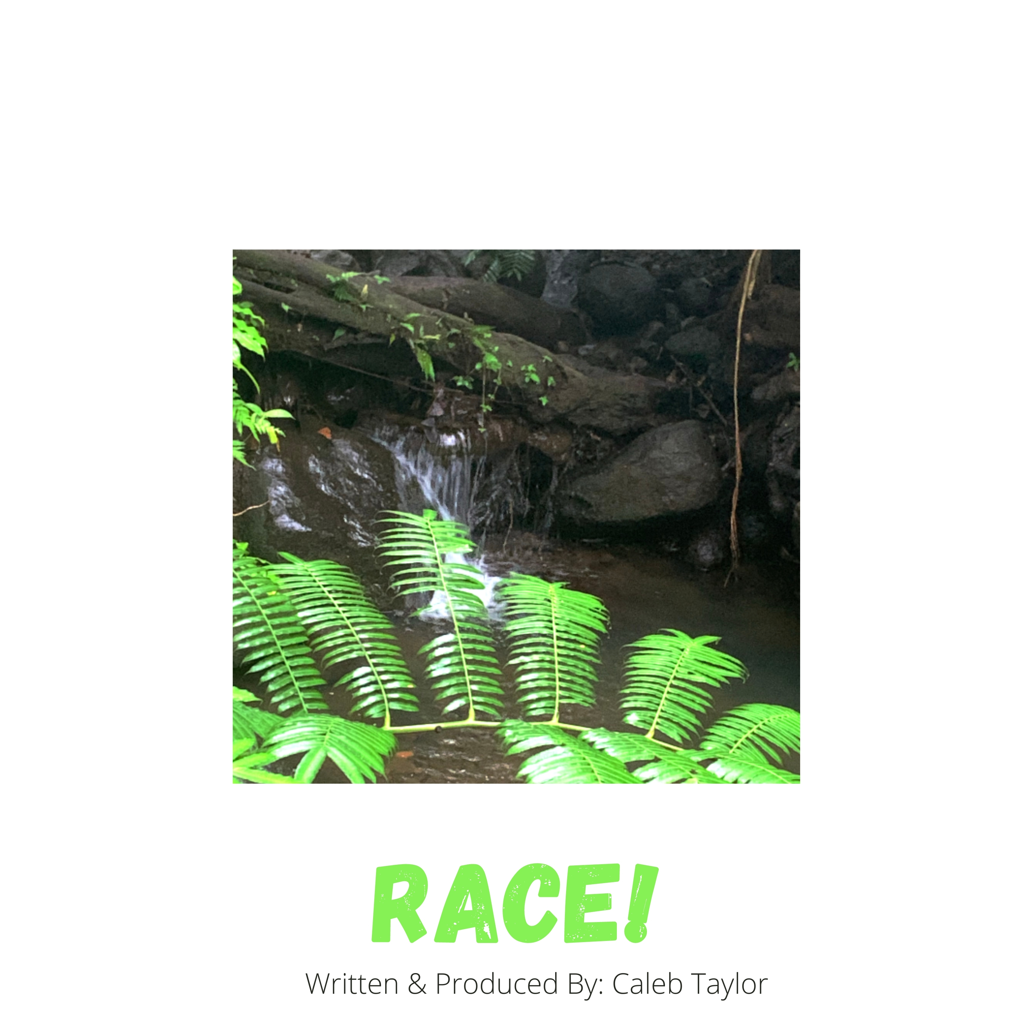 RACE! artwork