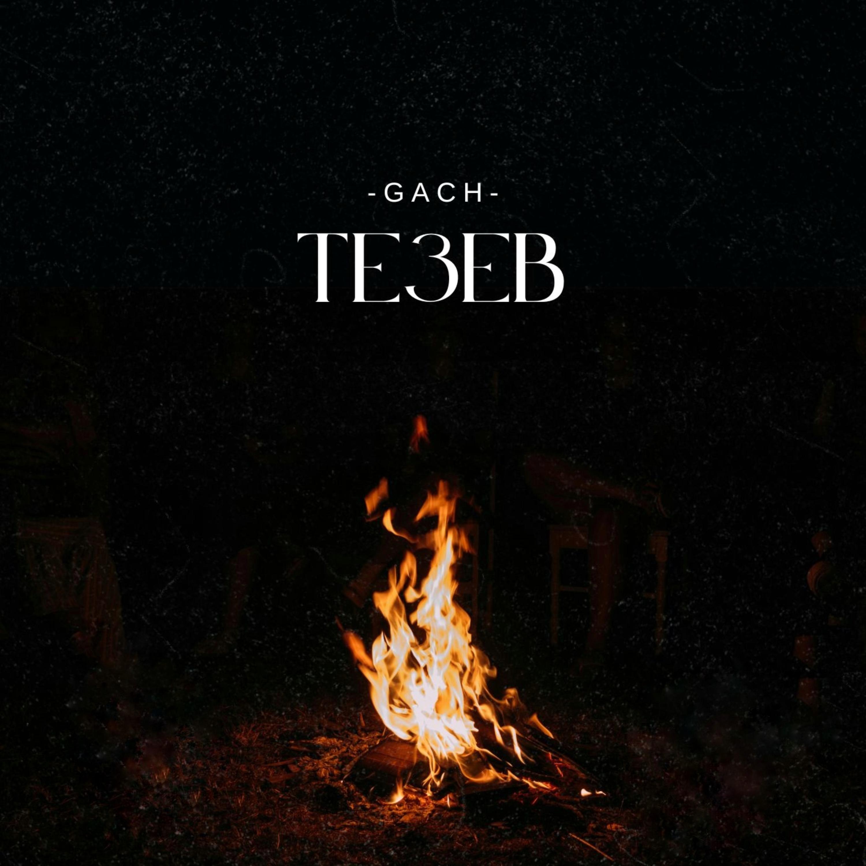 Te3eb artwork
