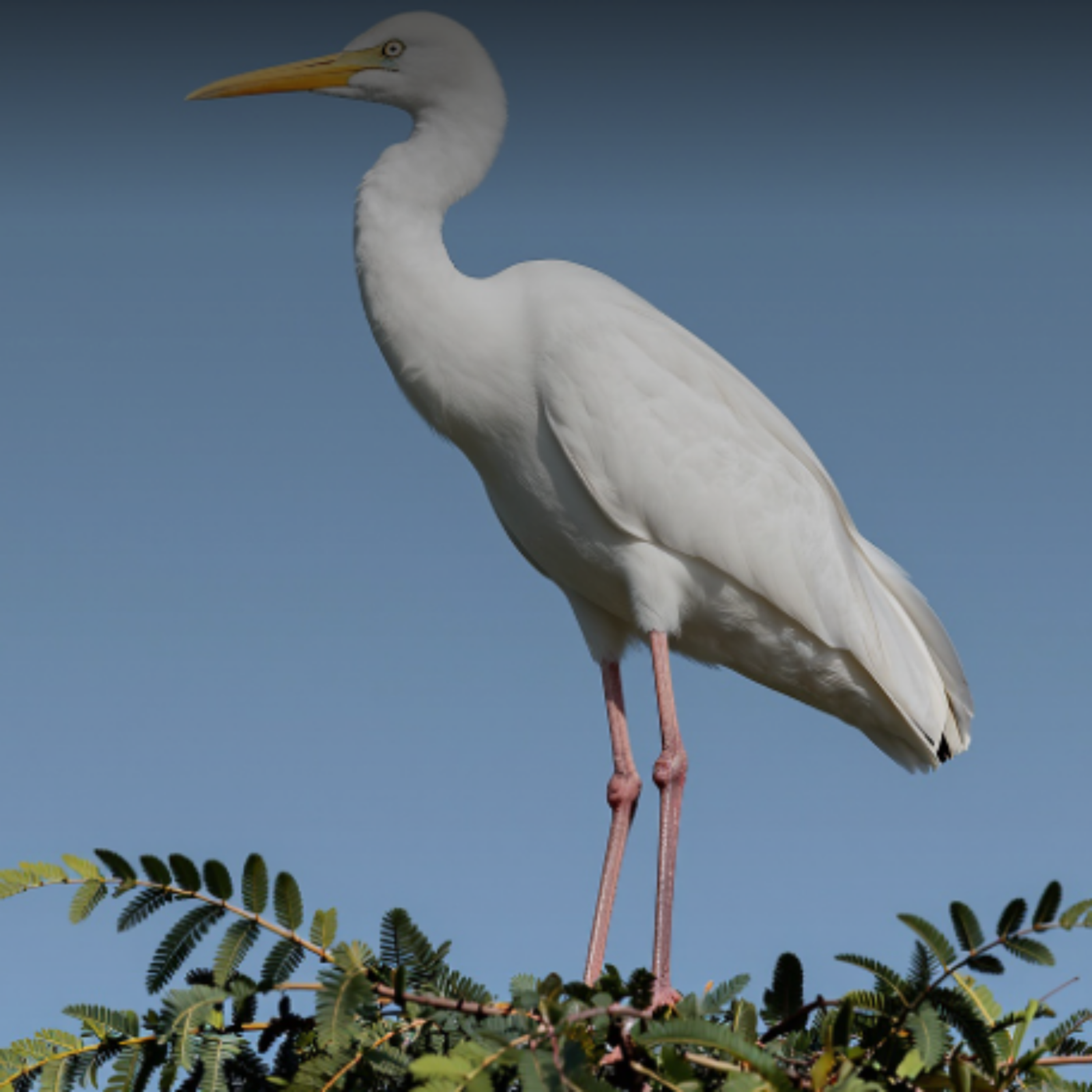 SALIENDO DEL JUEGO artwork