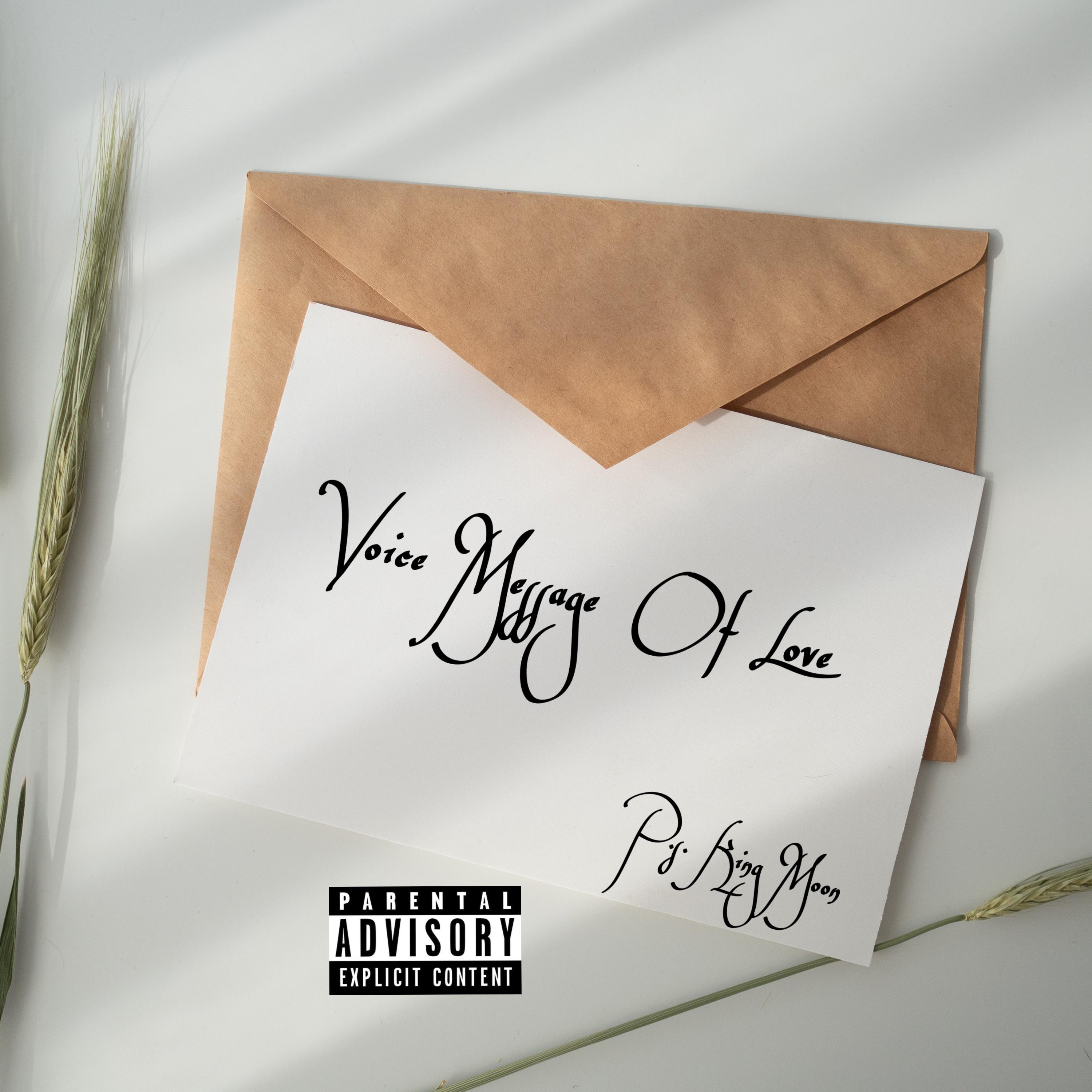 Voice Message Of Love artwork