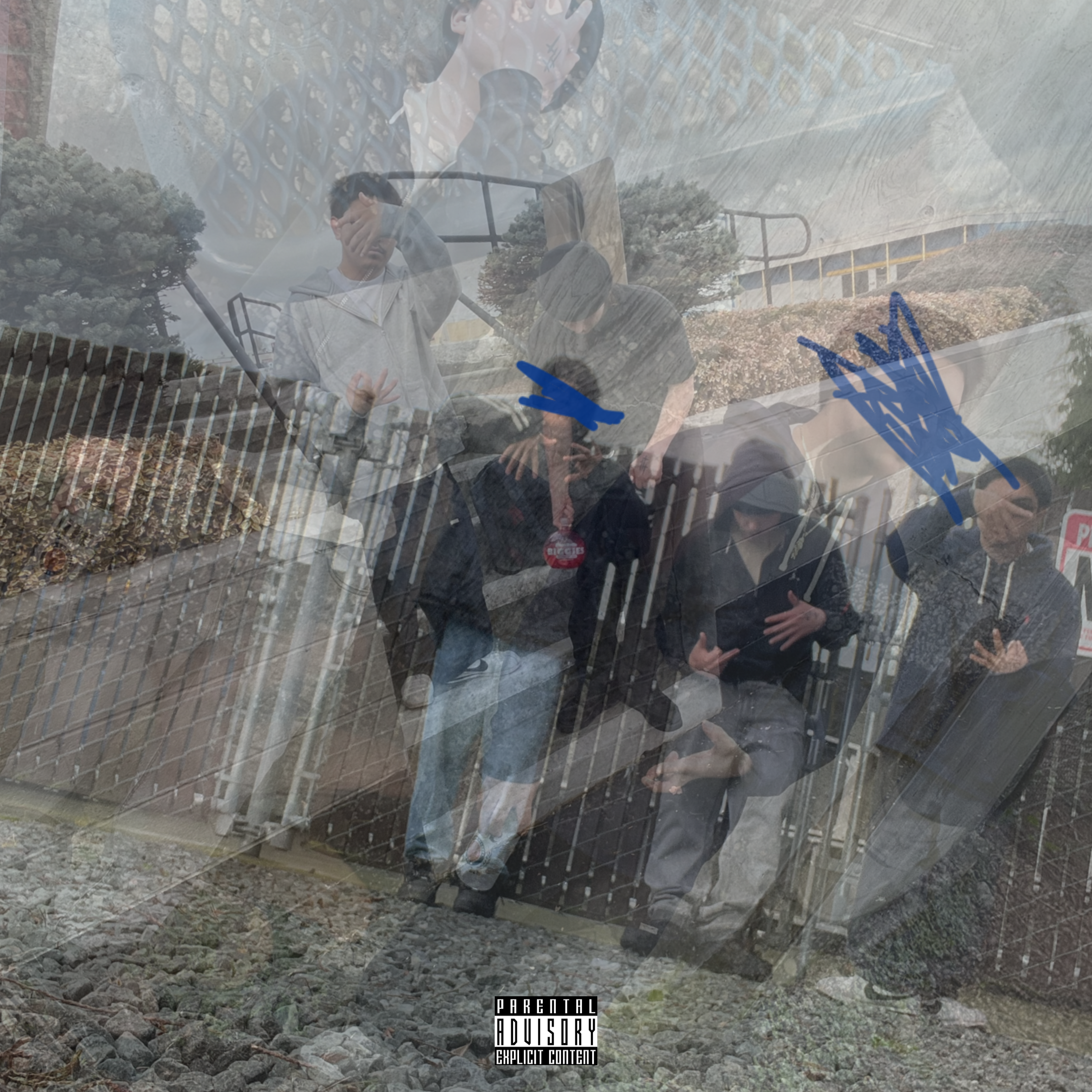 Boolin artwork