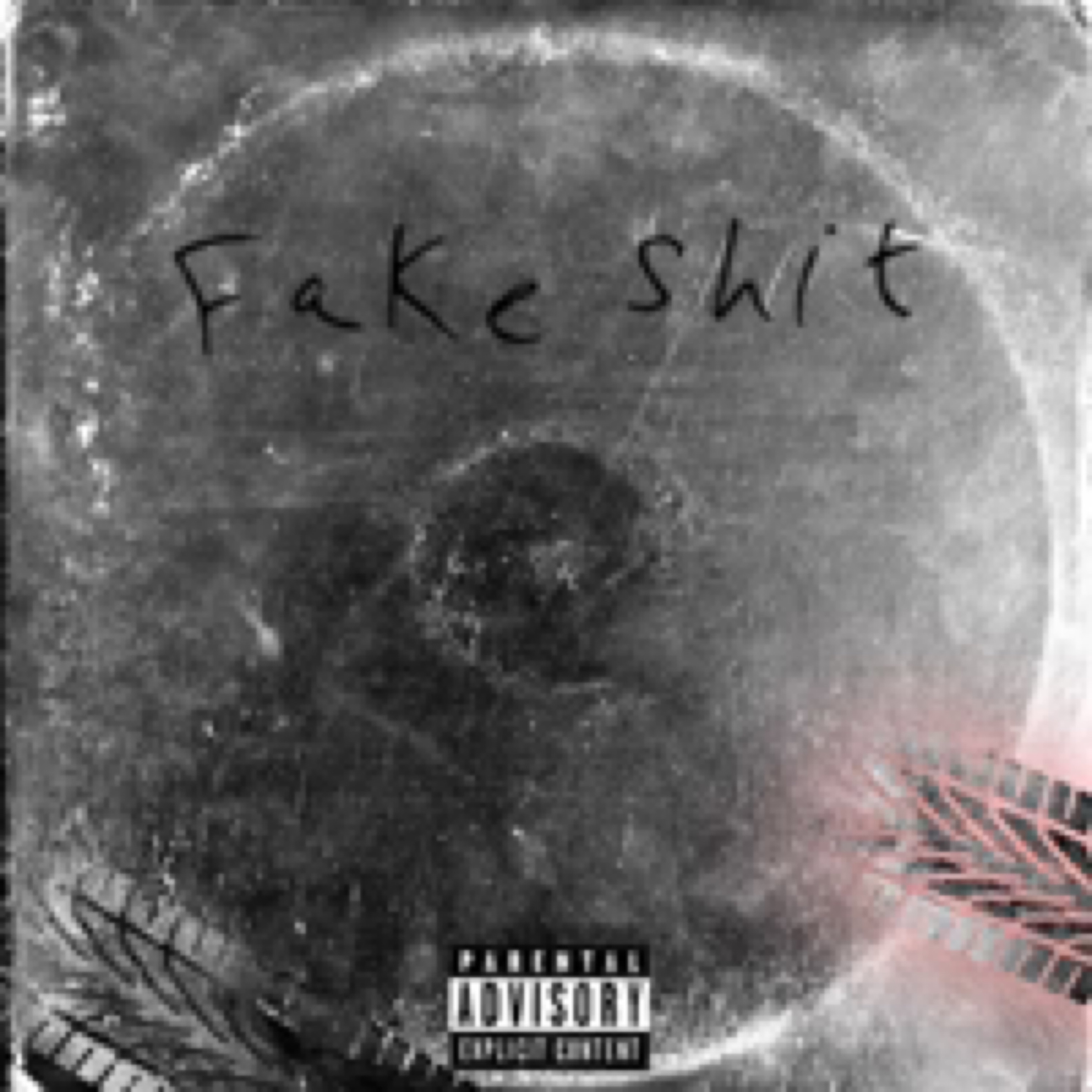 Fake Shit artwork