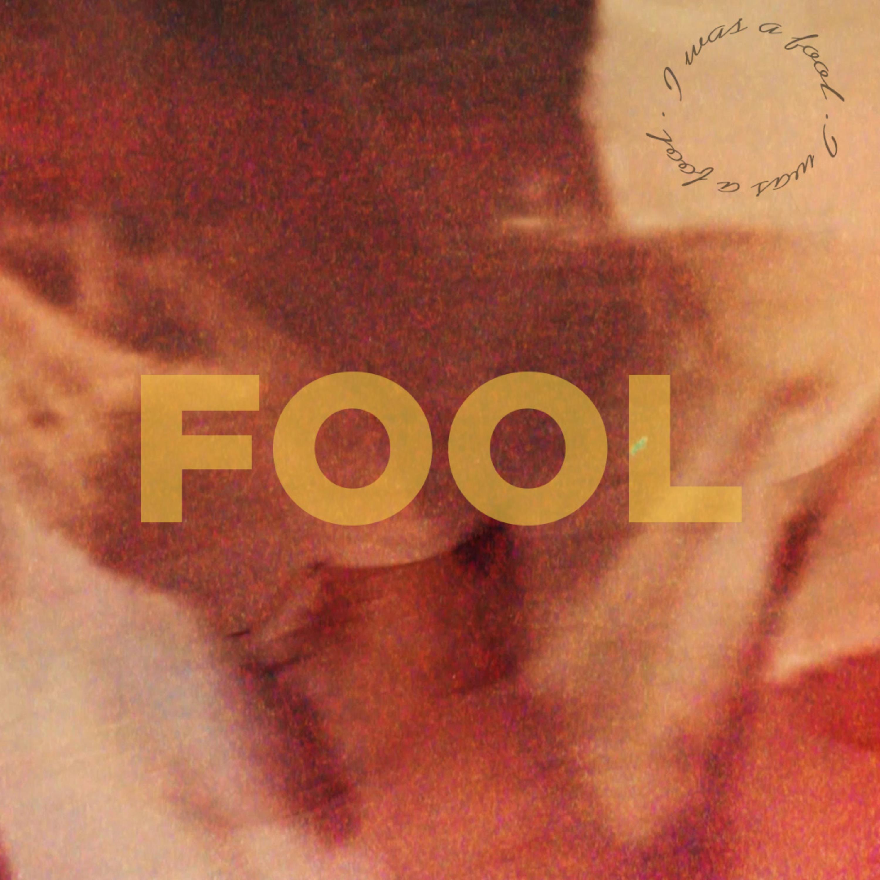 FOOL by Chan Fuze cover art