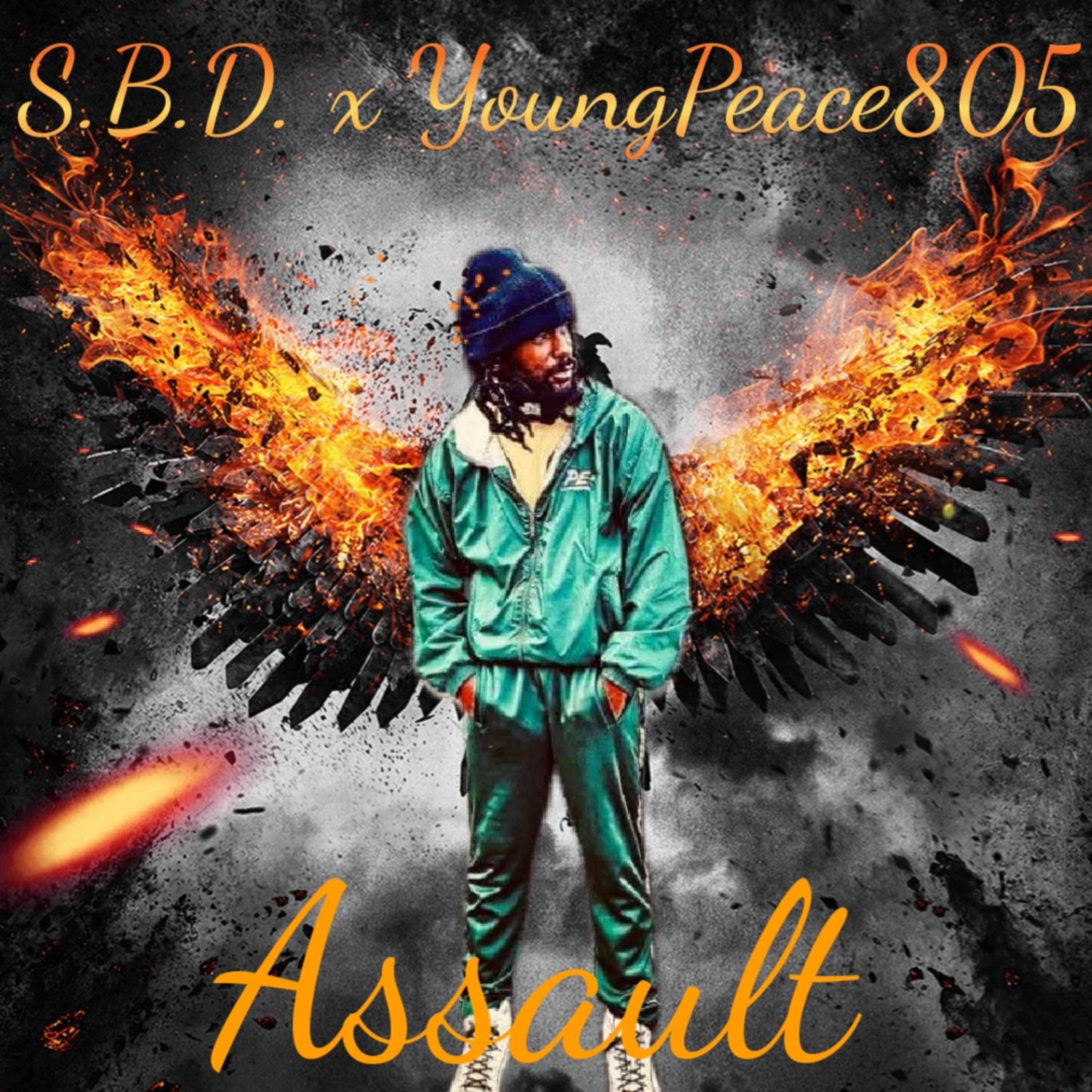 Assault artwork