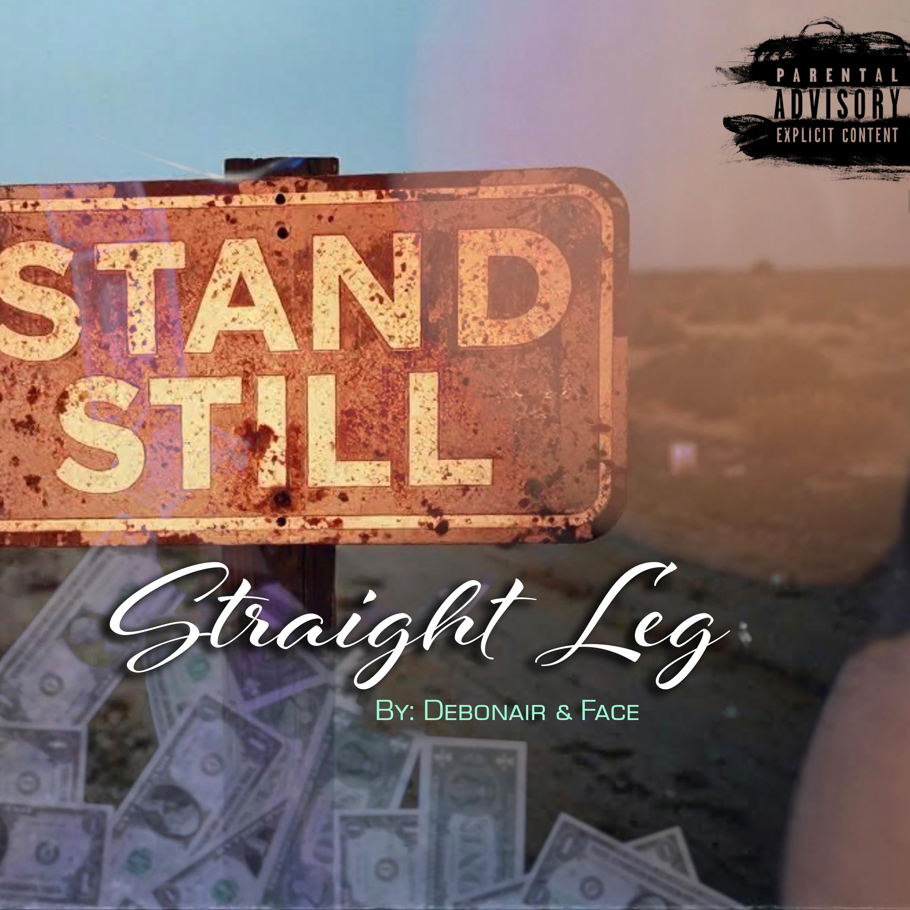 Stand Still Straight Leg artwork