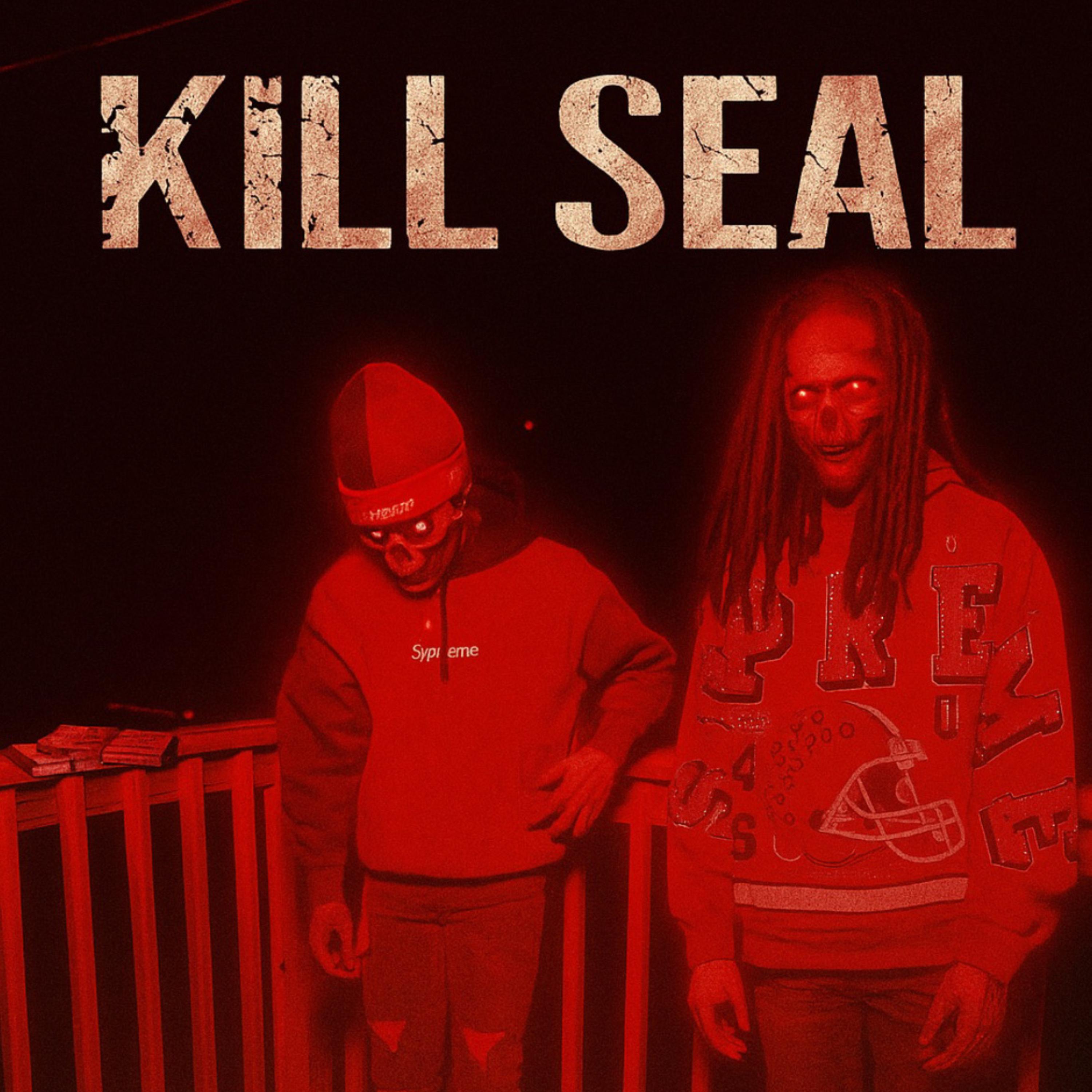 Kill Seal artwork