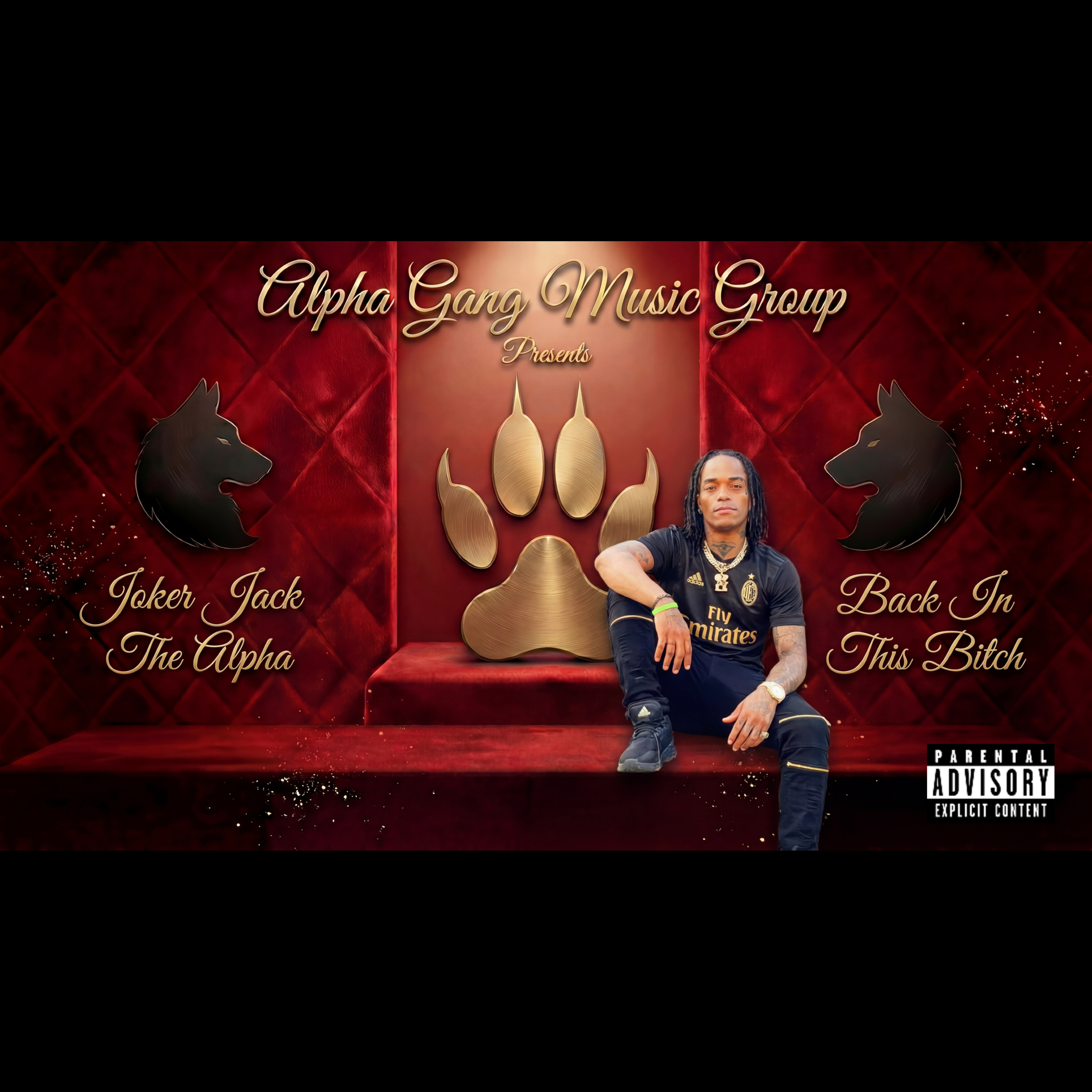 Back In This Bitch by Alpha Gang Music Group cover art