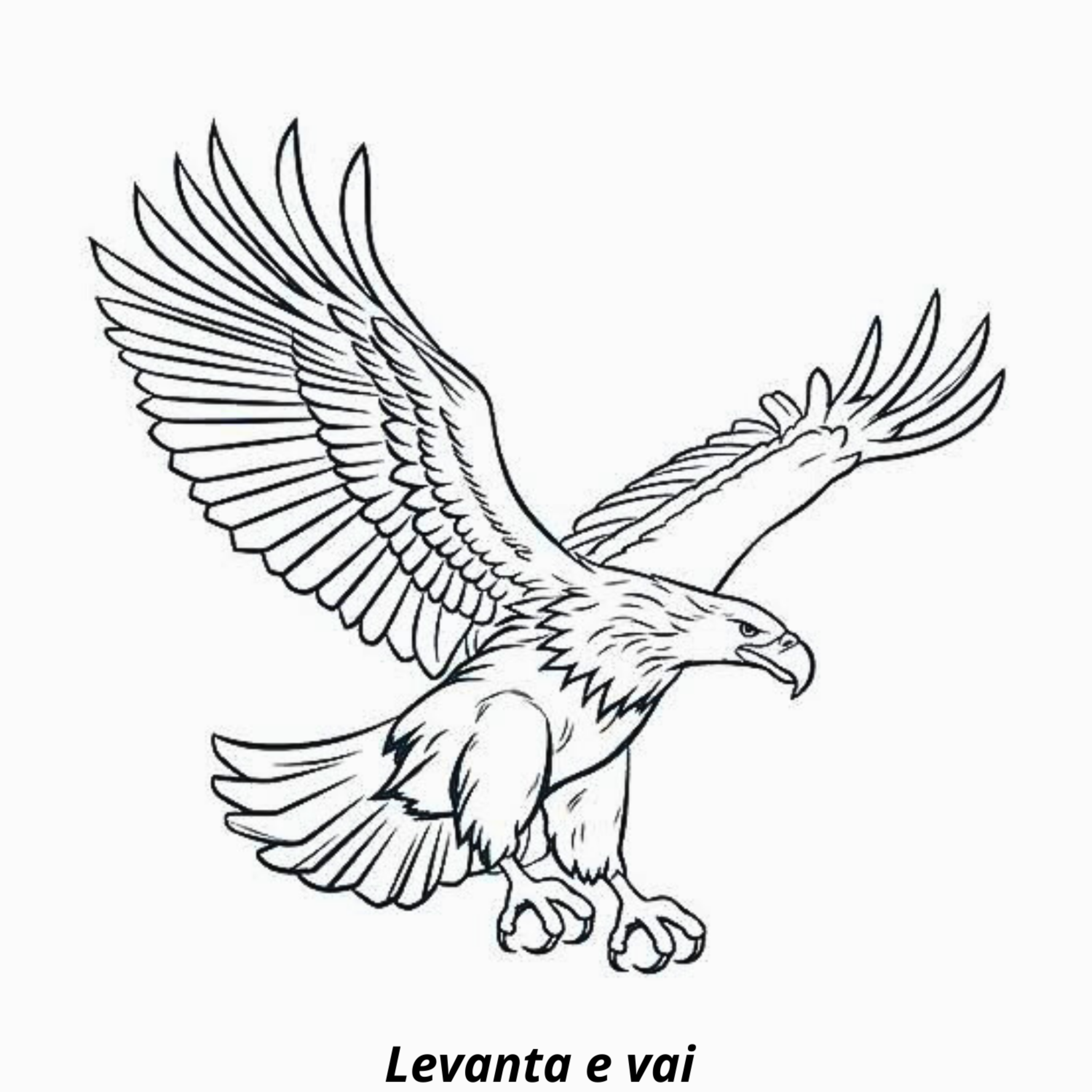 Levanta e vai artwork
