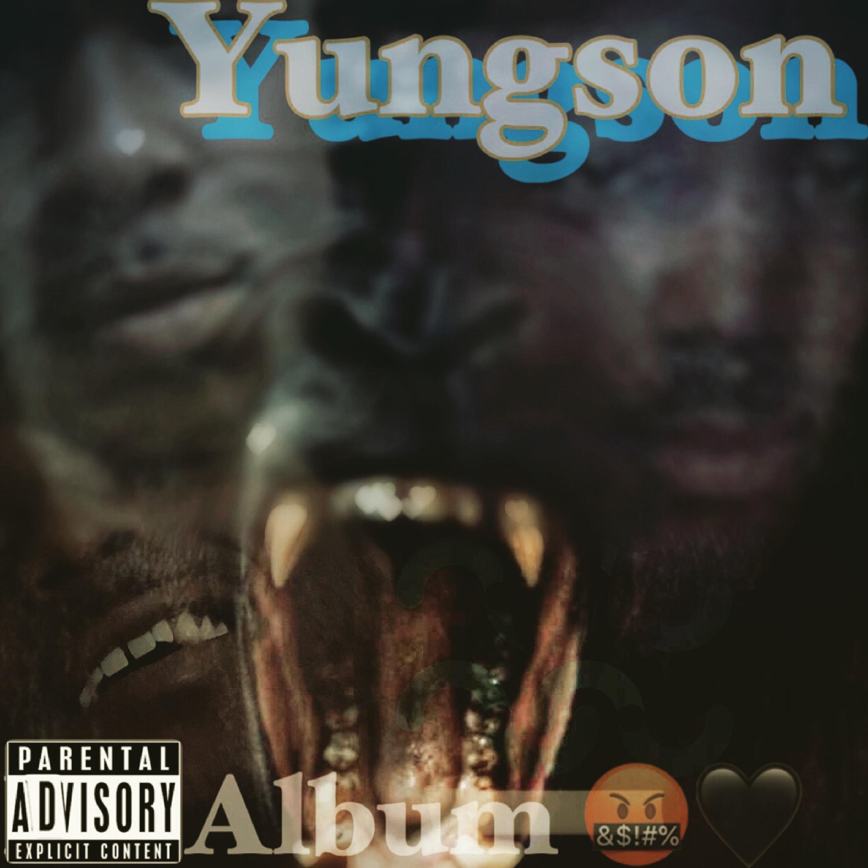 The Album by YUNGSON cover art