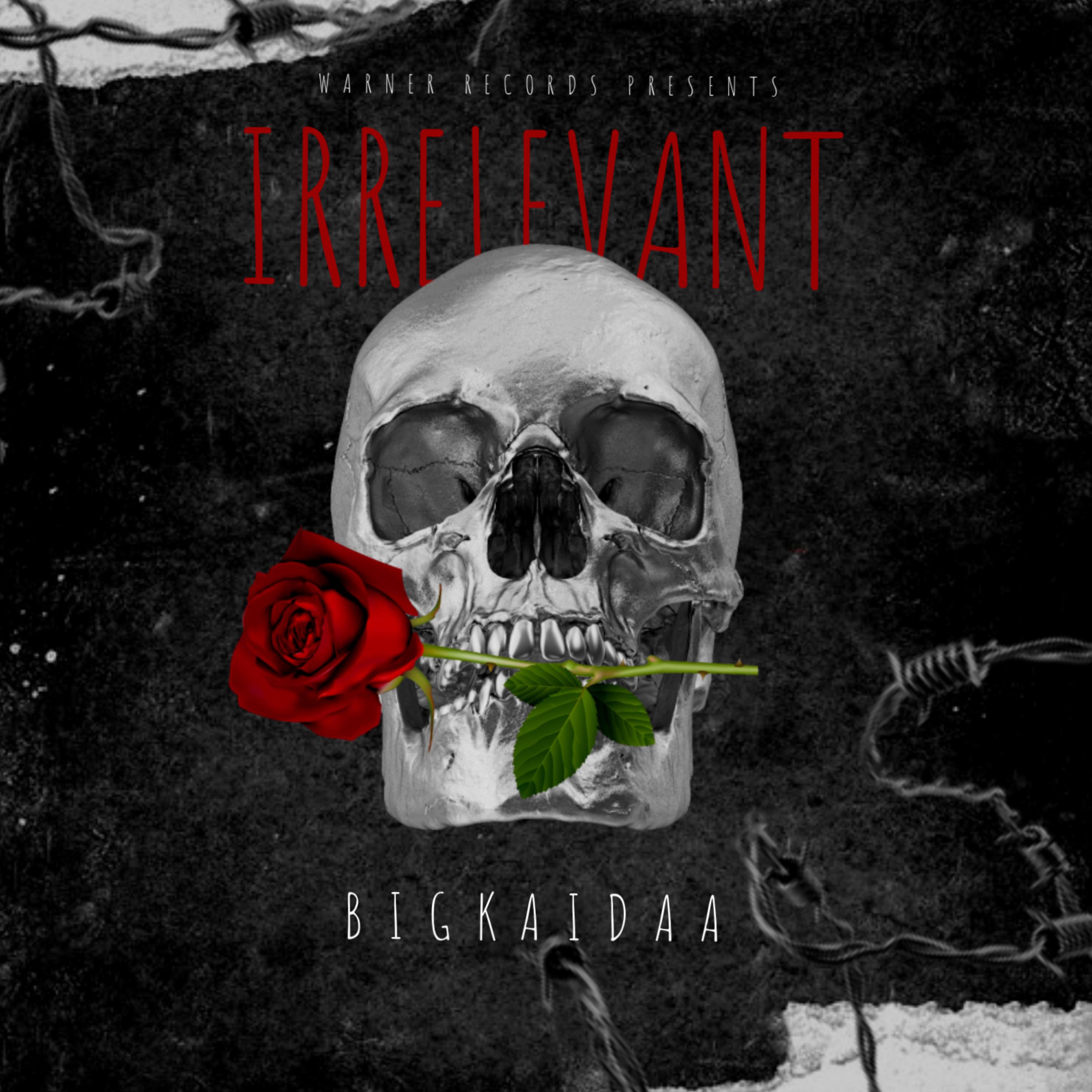IRRelevant artwork