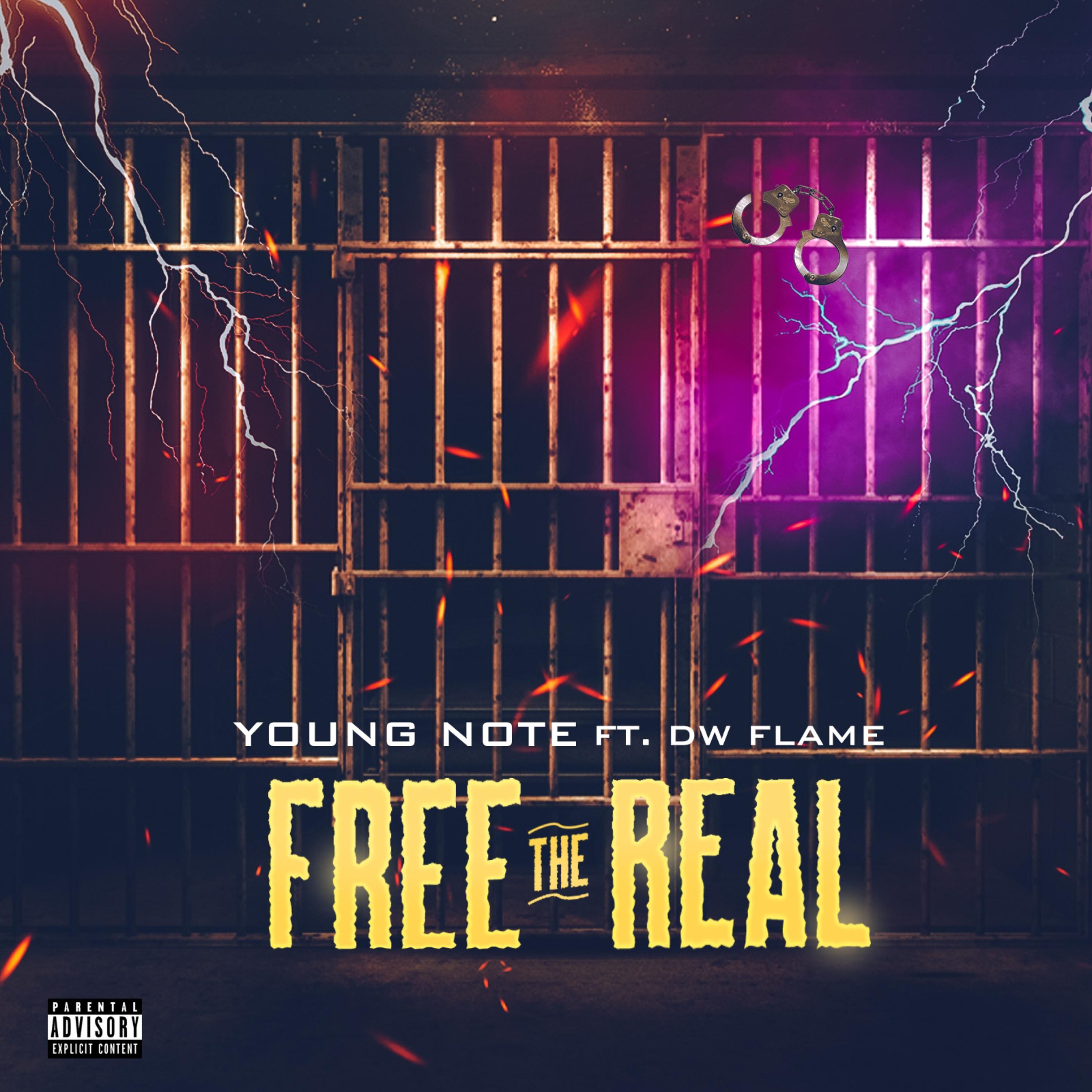 Free The Real artwork