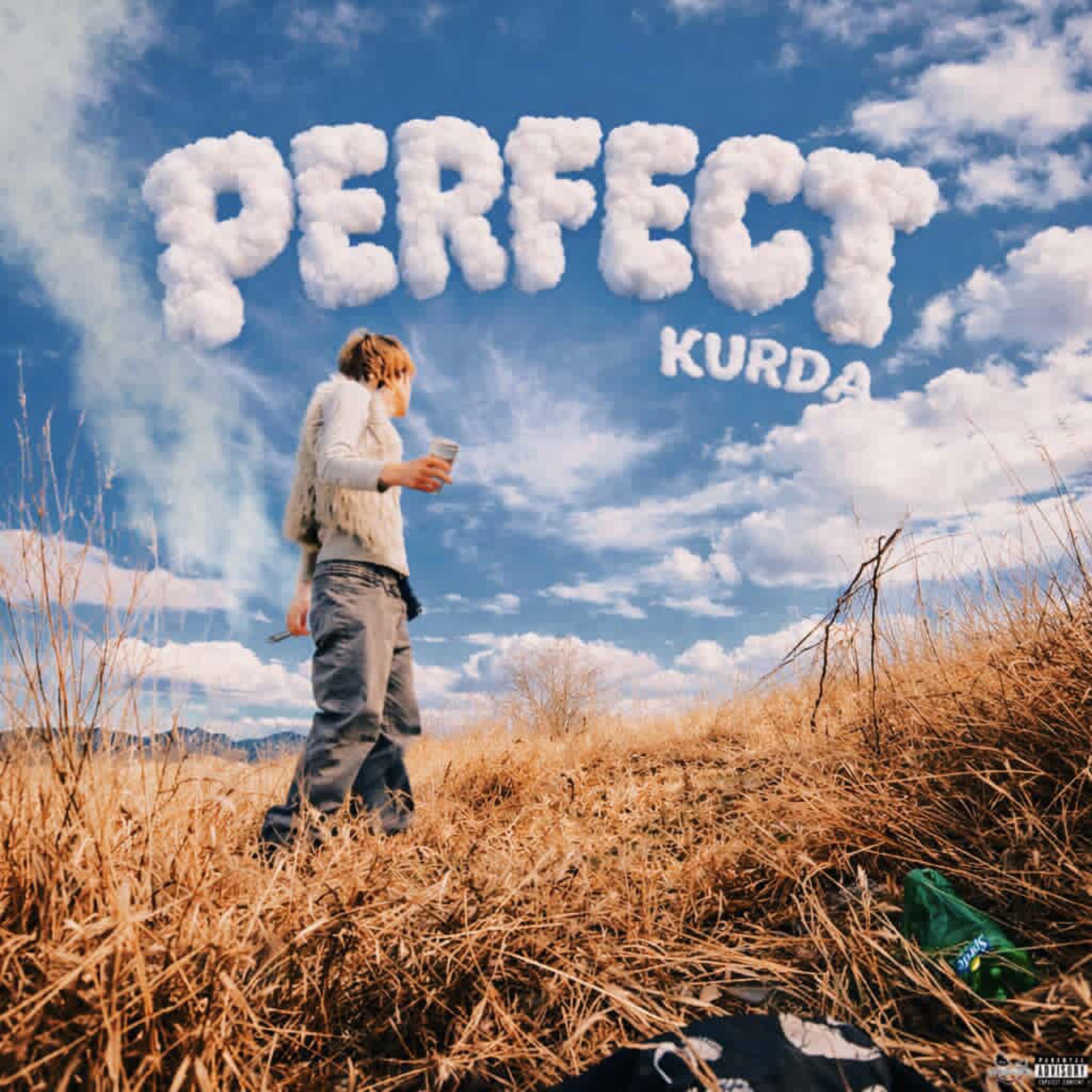 perfect by kurda cover art