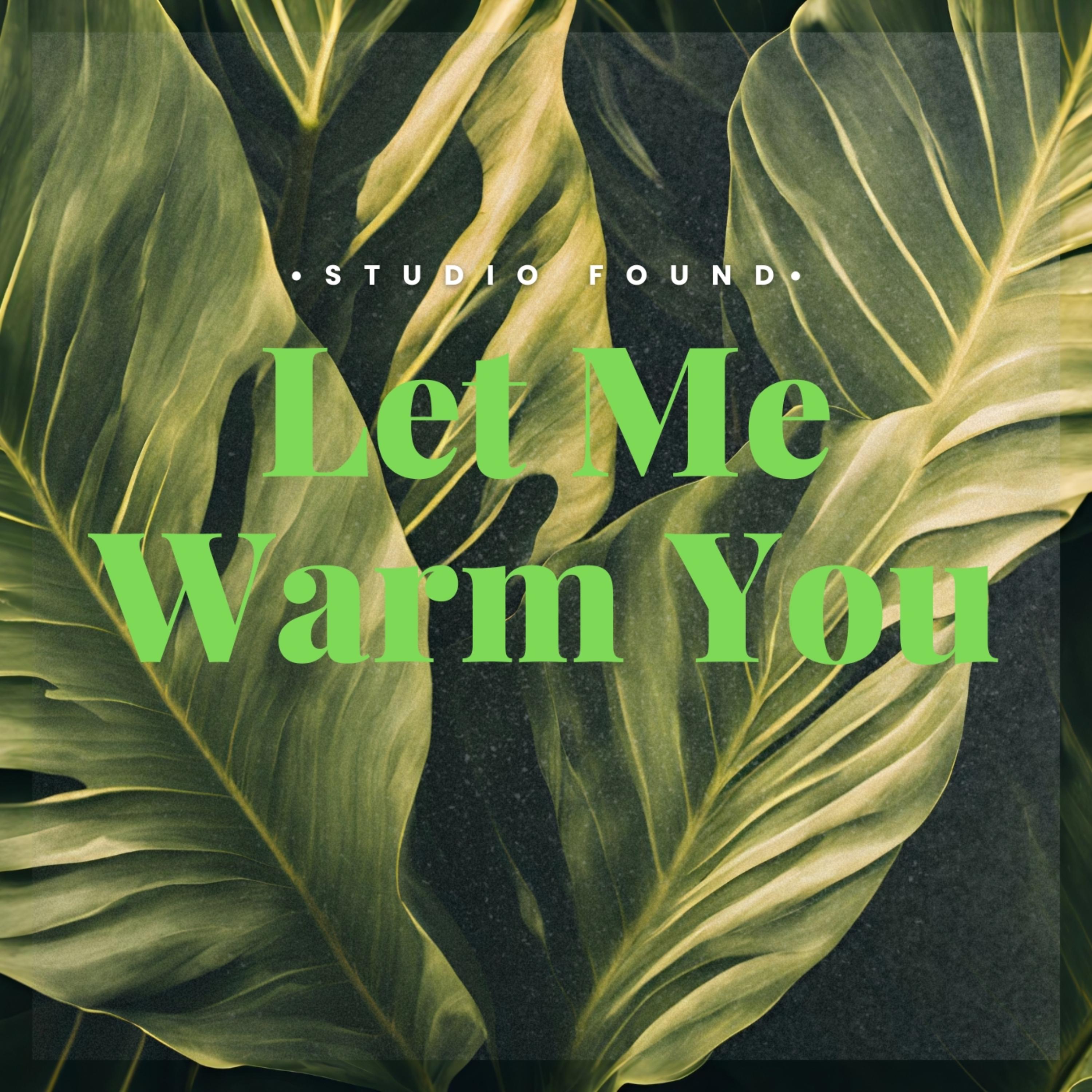 Let Me Warm You artwork
