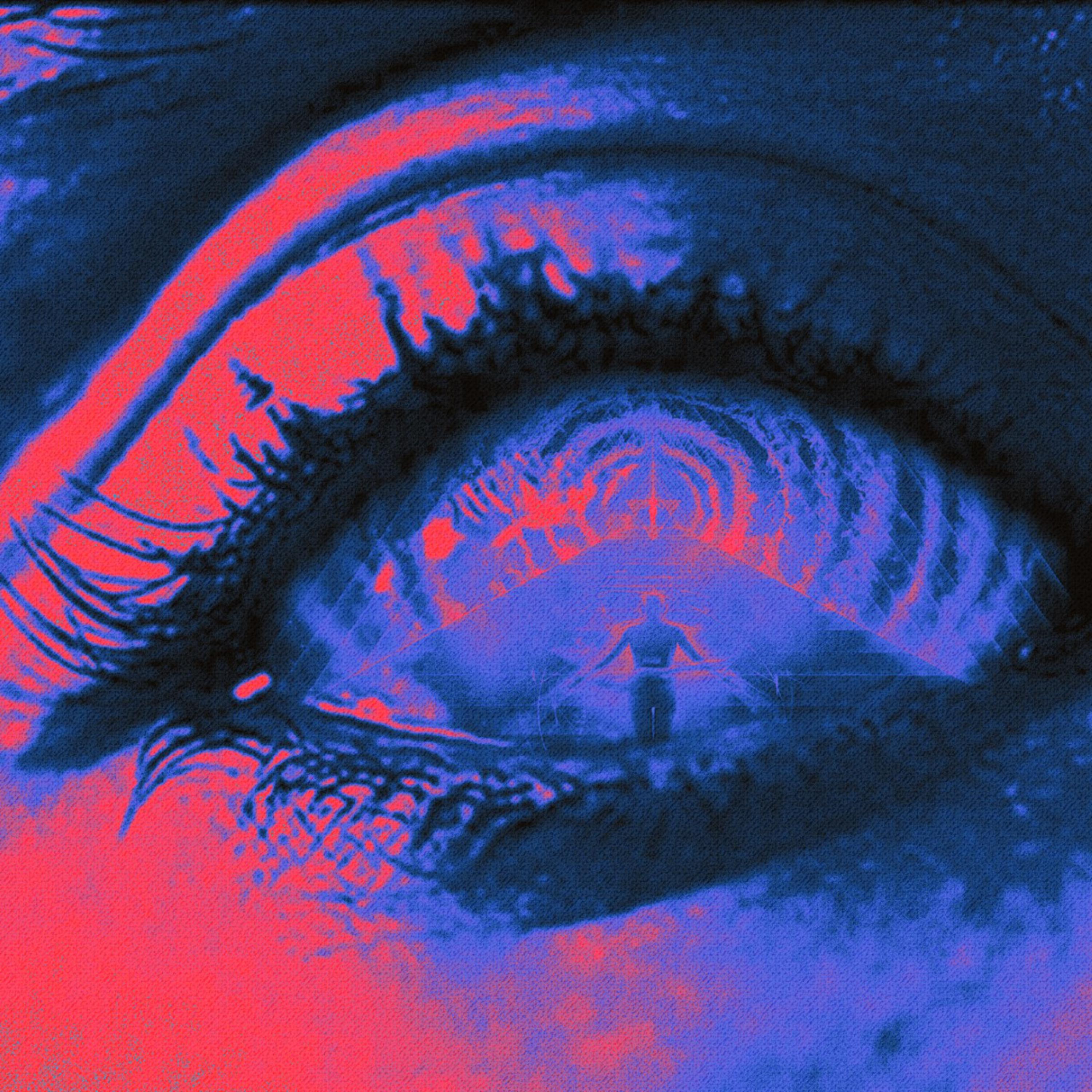 Vizion artwork