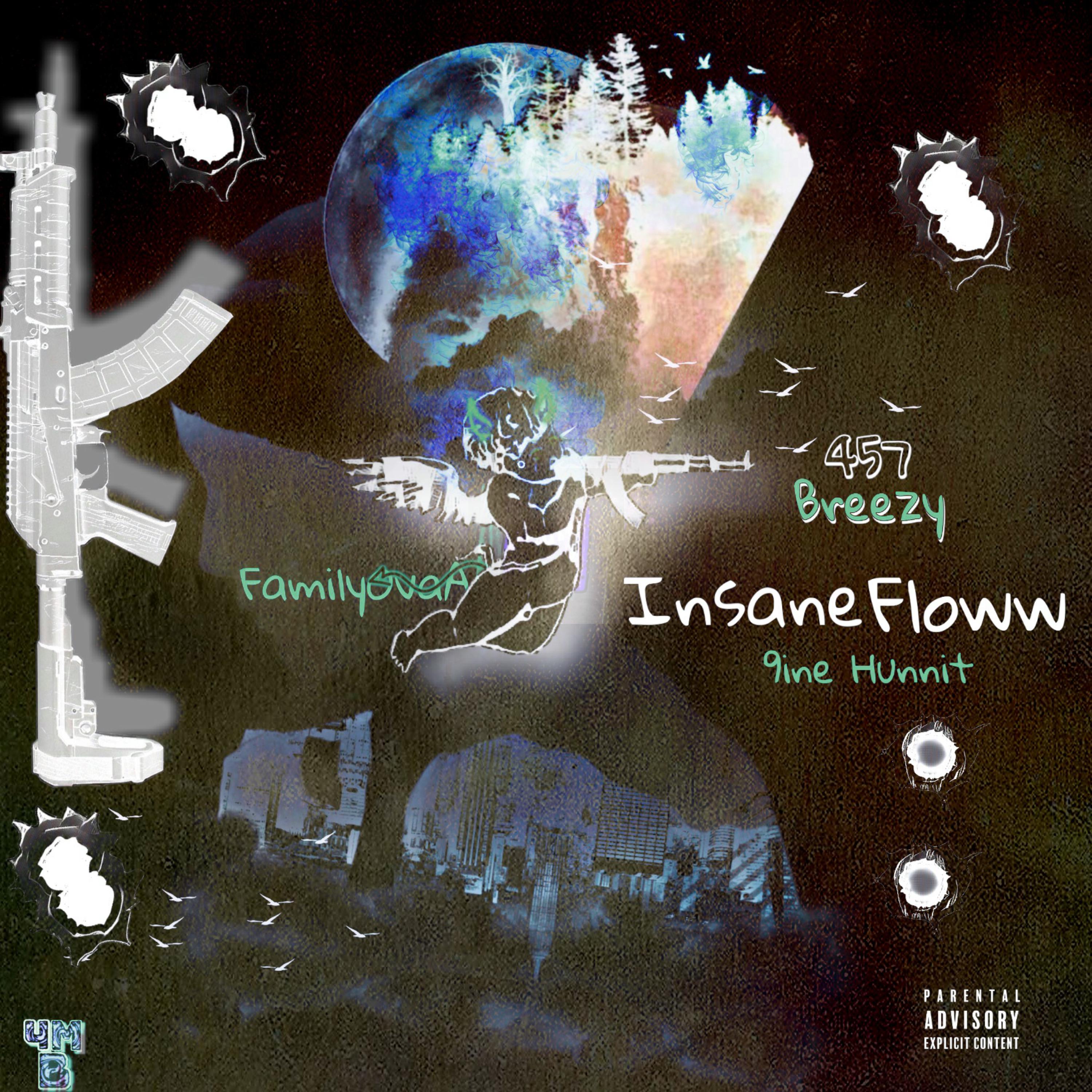Insane Floww artwork