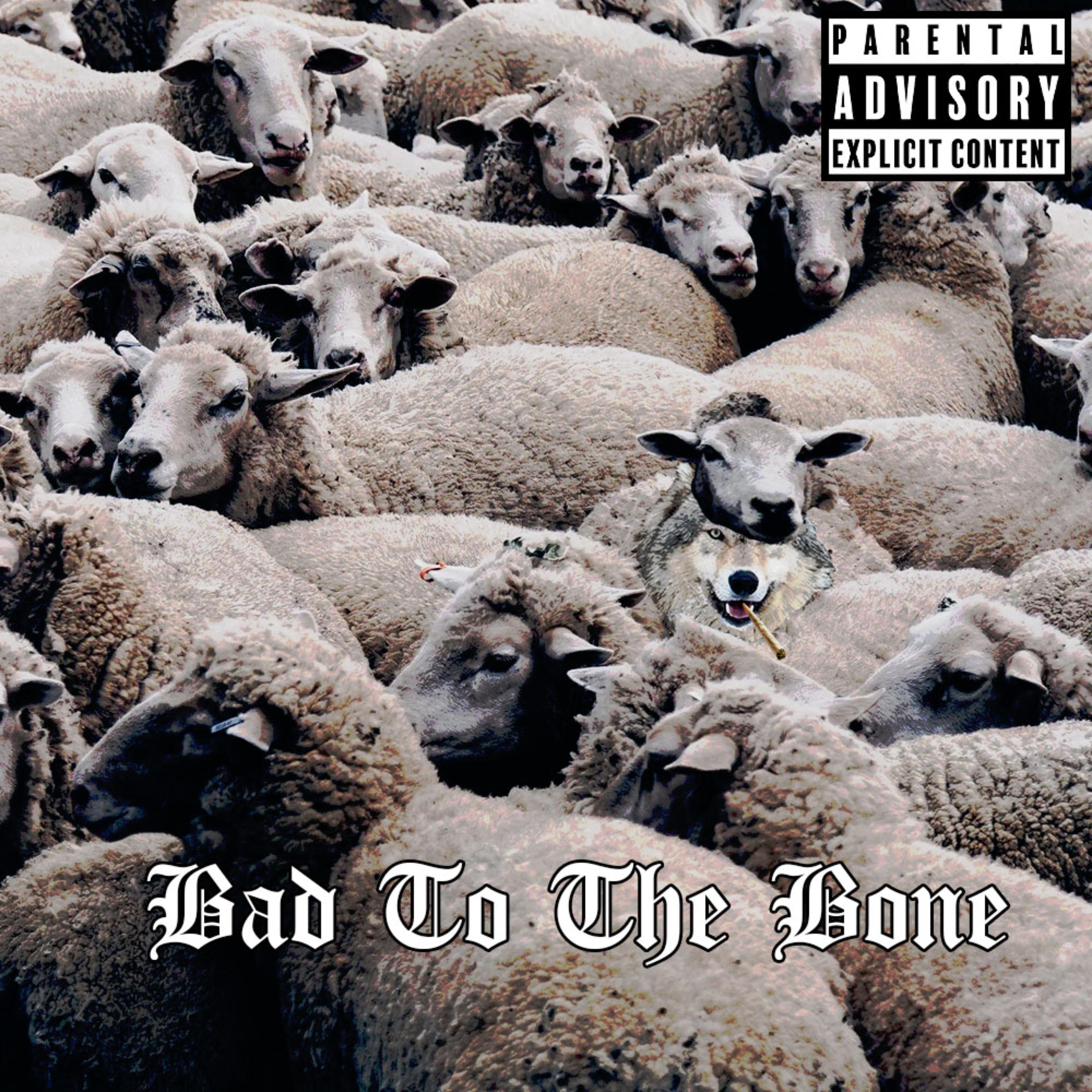 Bad to The Bone artwork