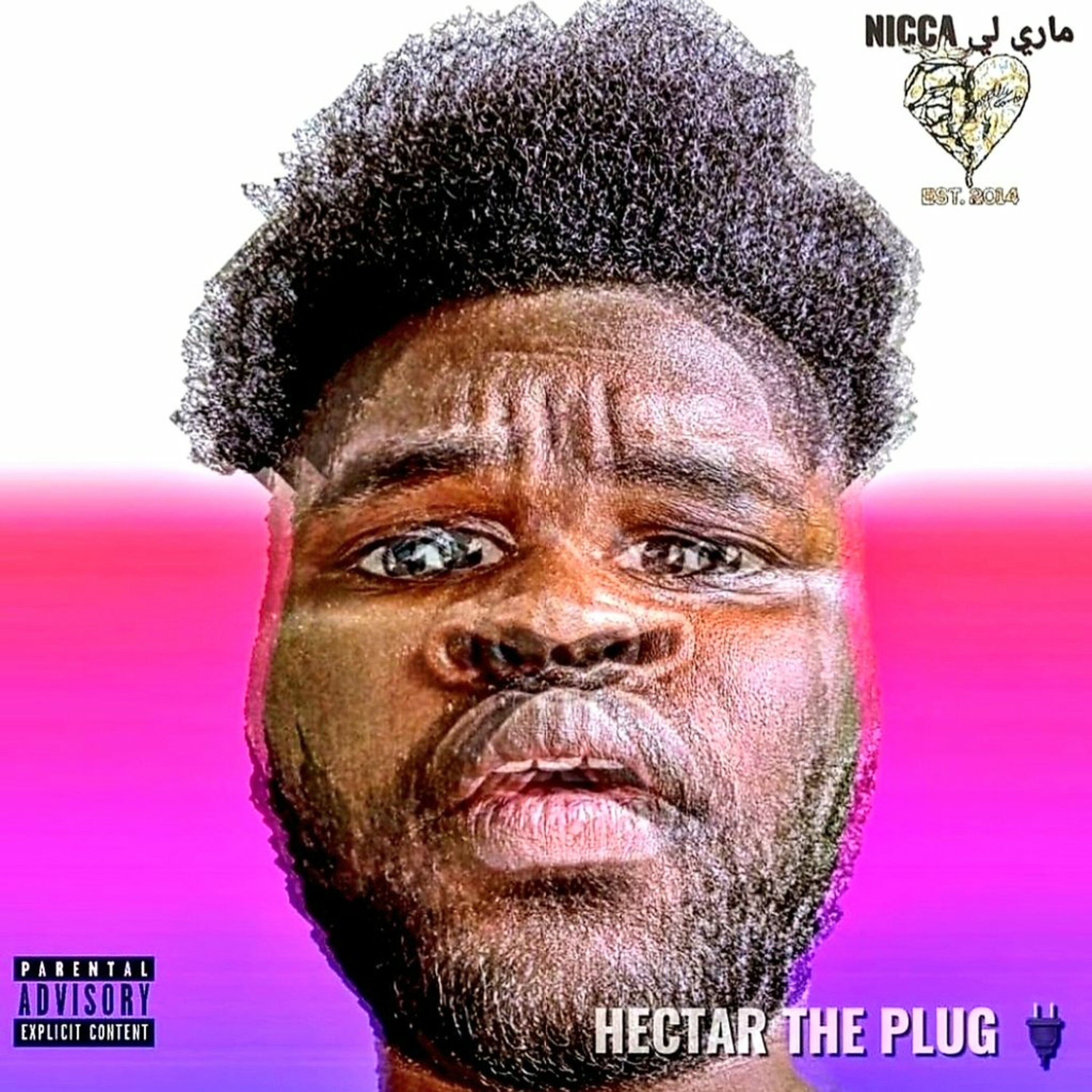 Hectar The Plug artwork