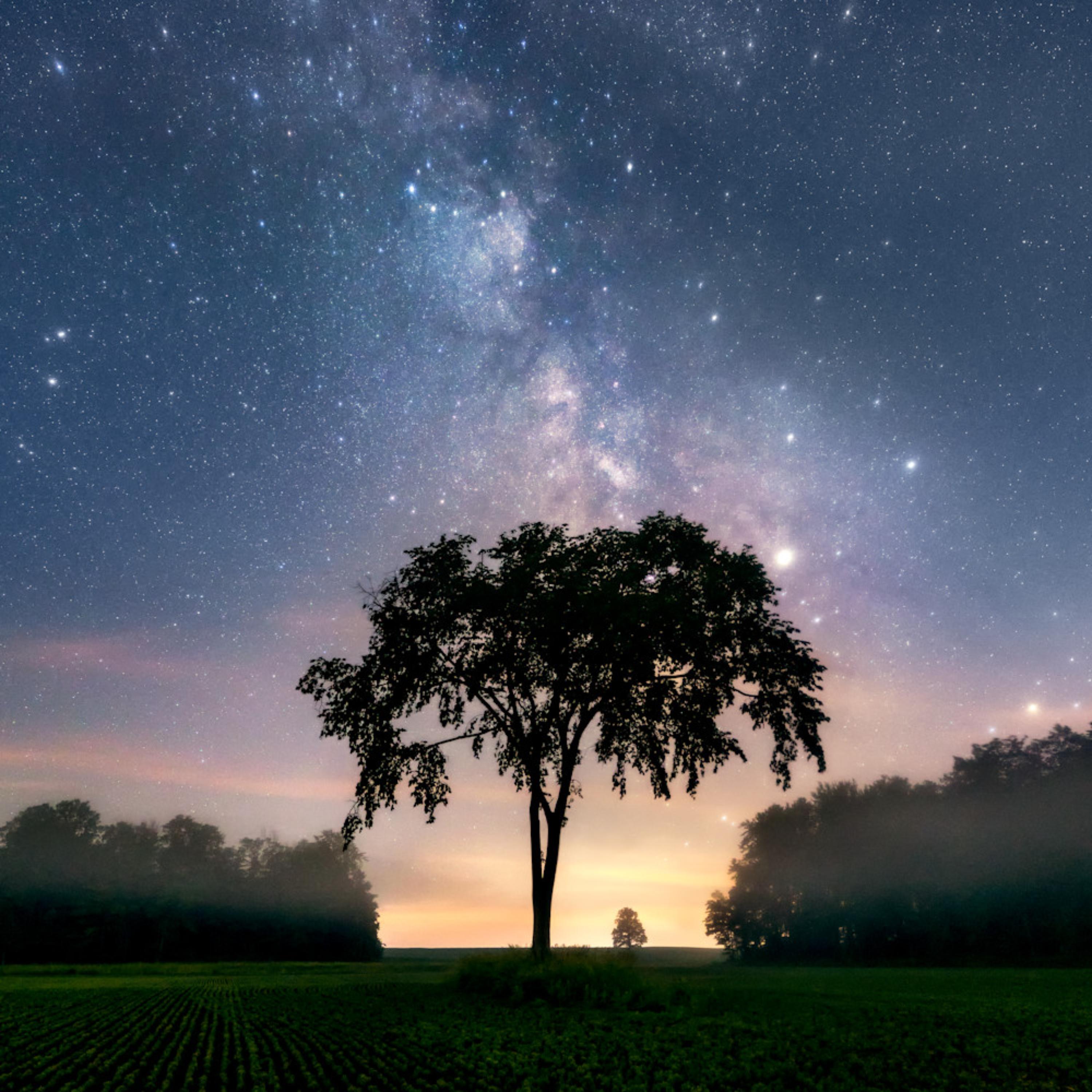 LOVED ONES [R.I.P] artwork