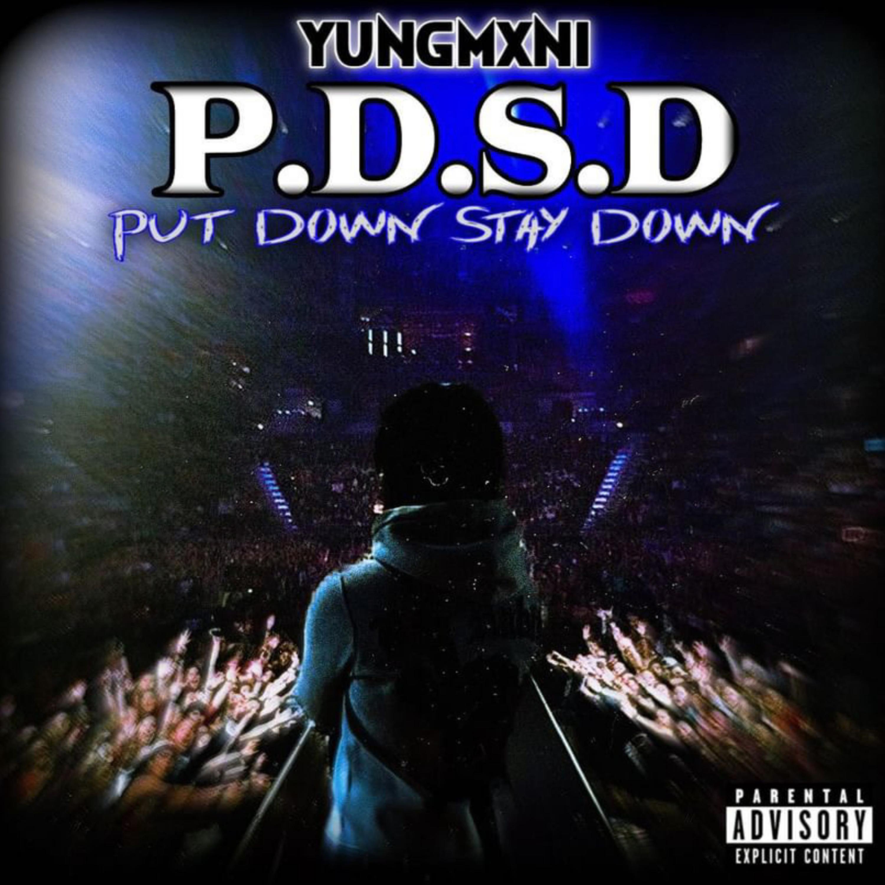 P.D.S.D artwork
