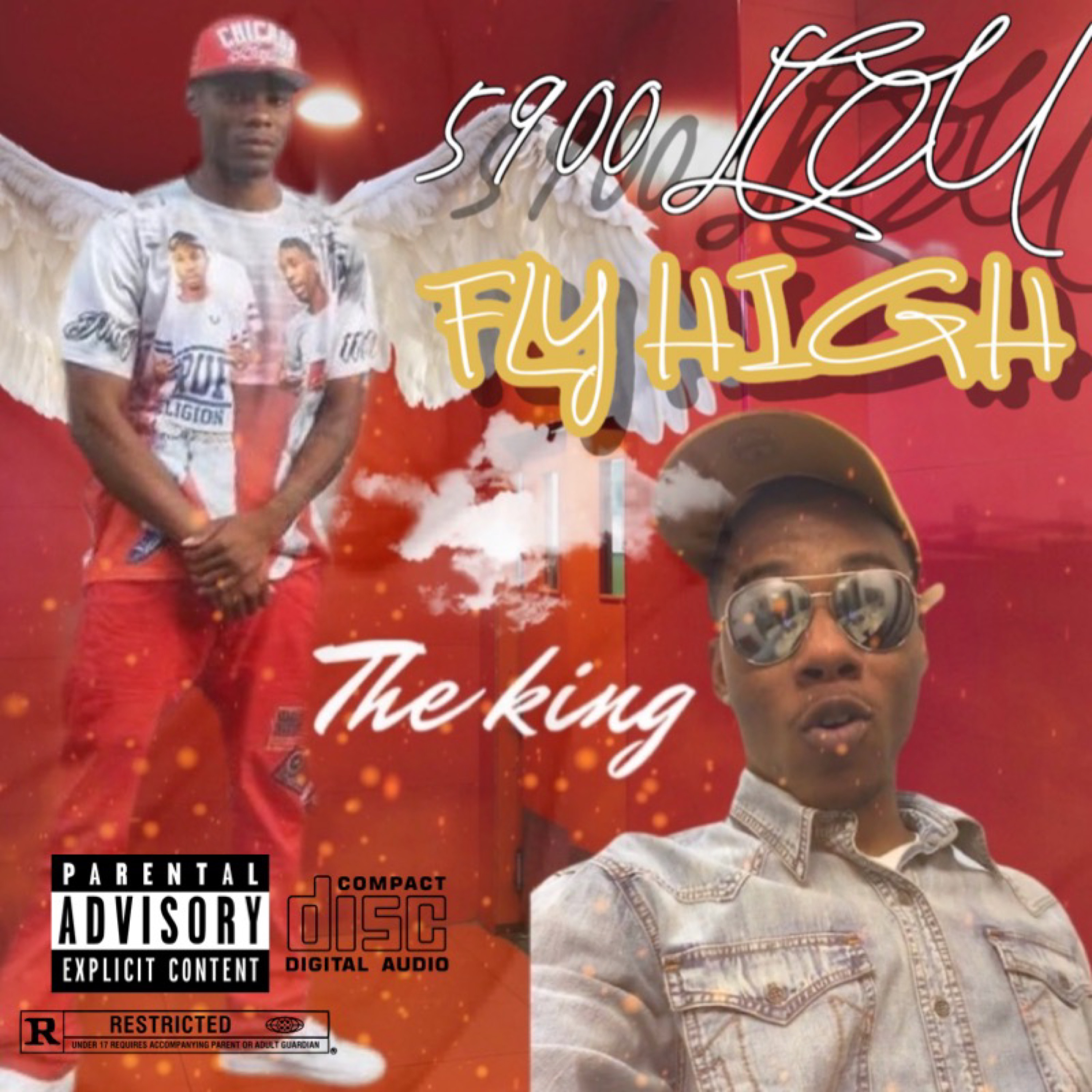 Fly High artwork