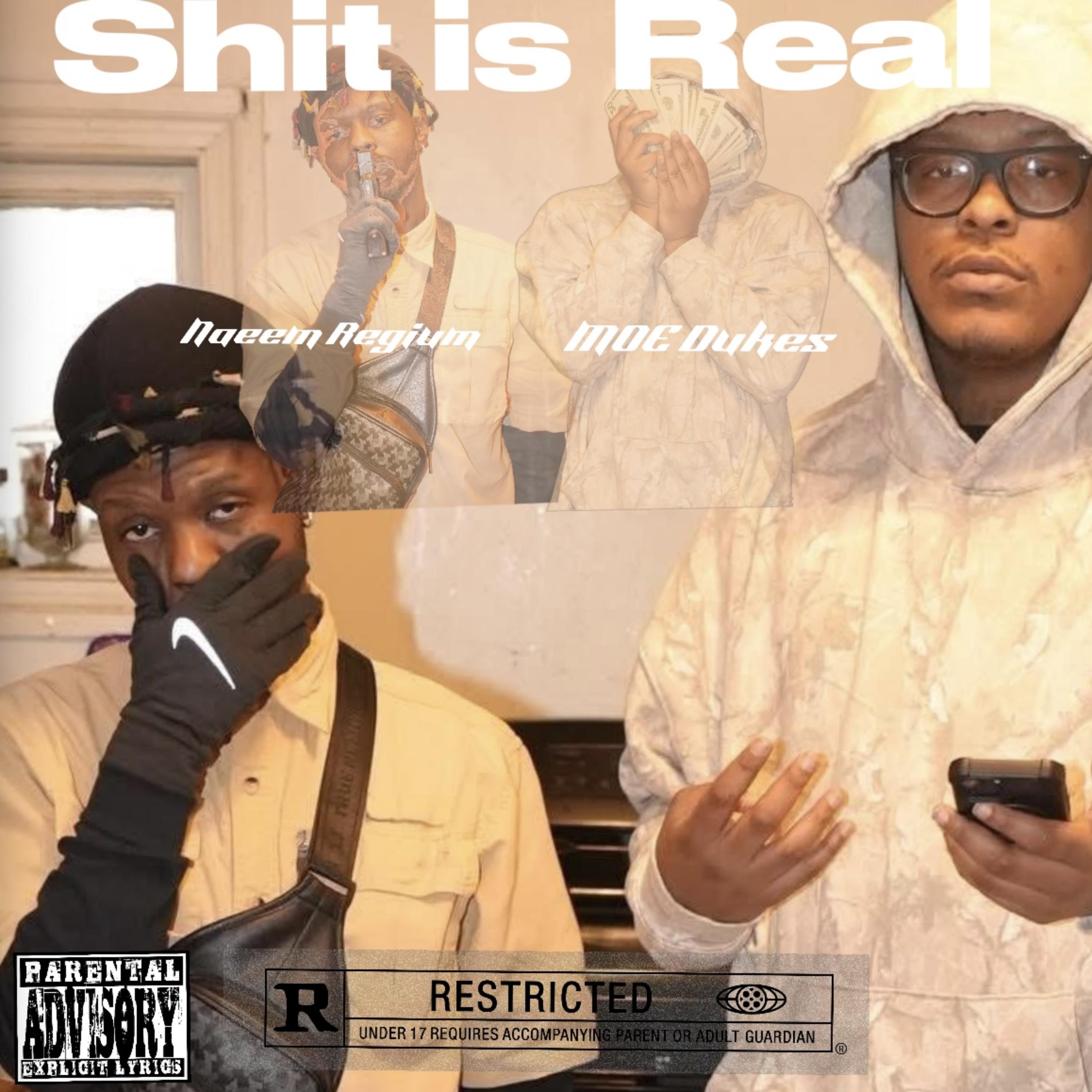 Shit Is Real artwork