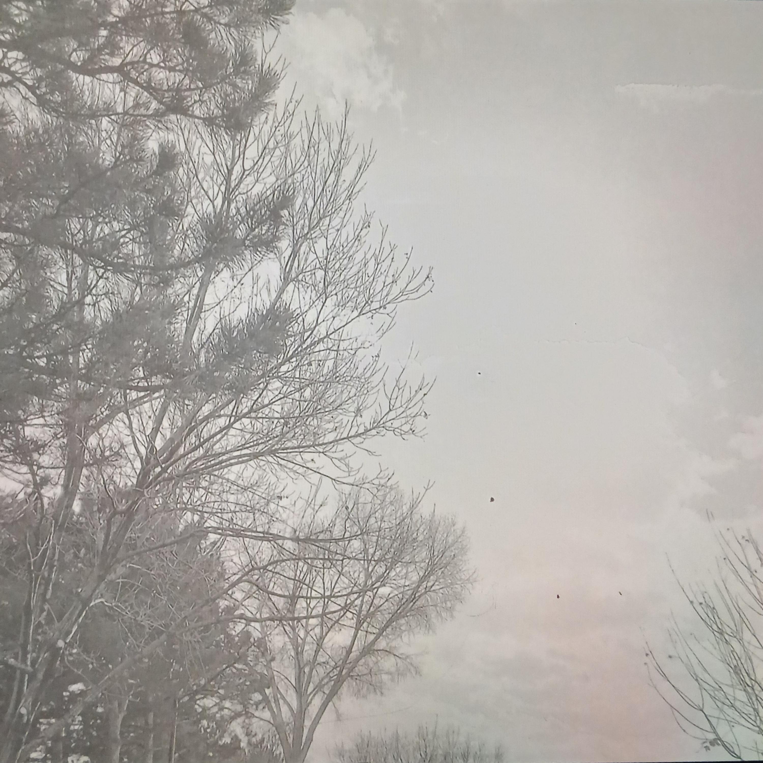 The Fog Is Endless artwork