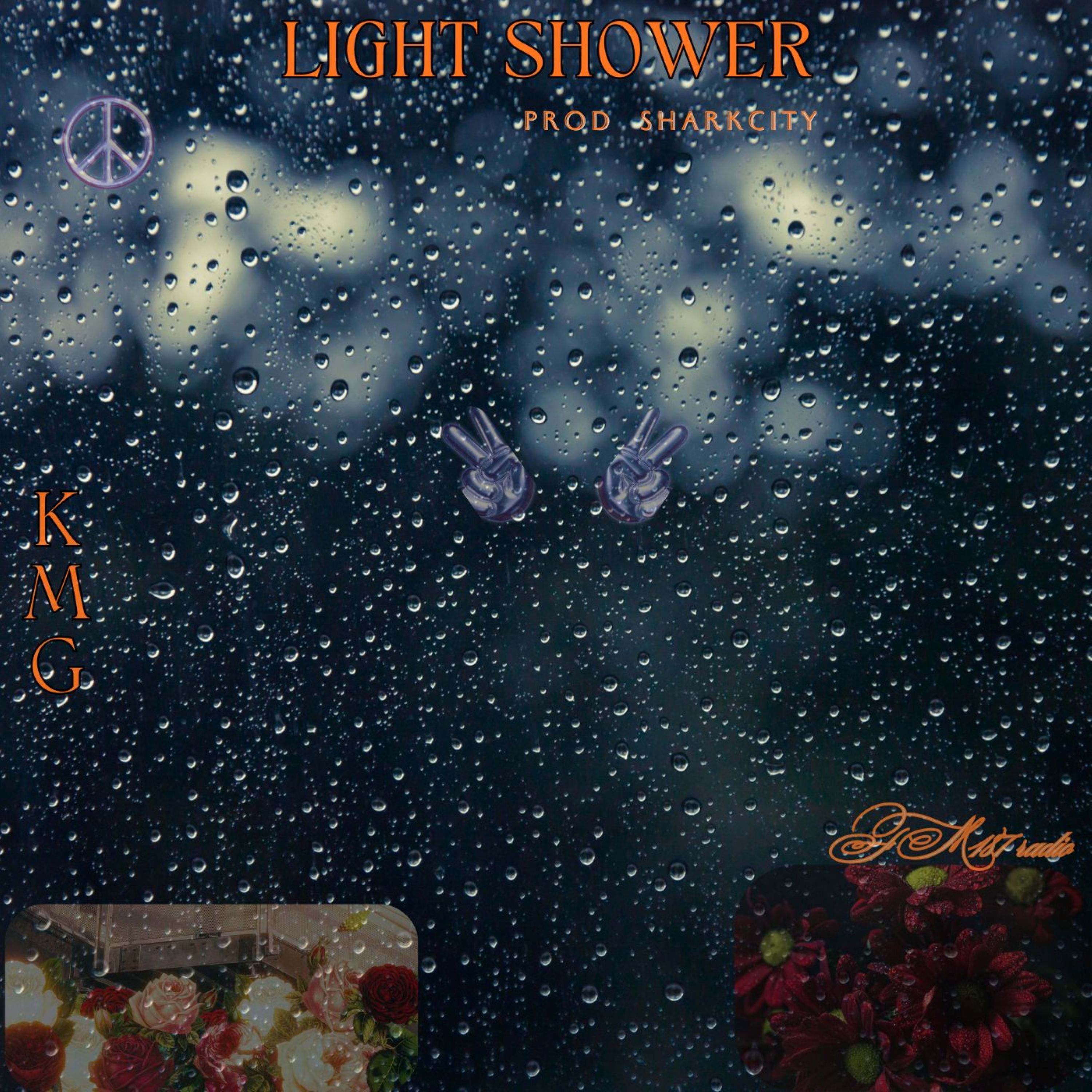 Light Shower artwork