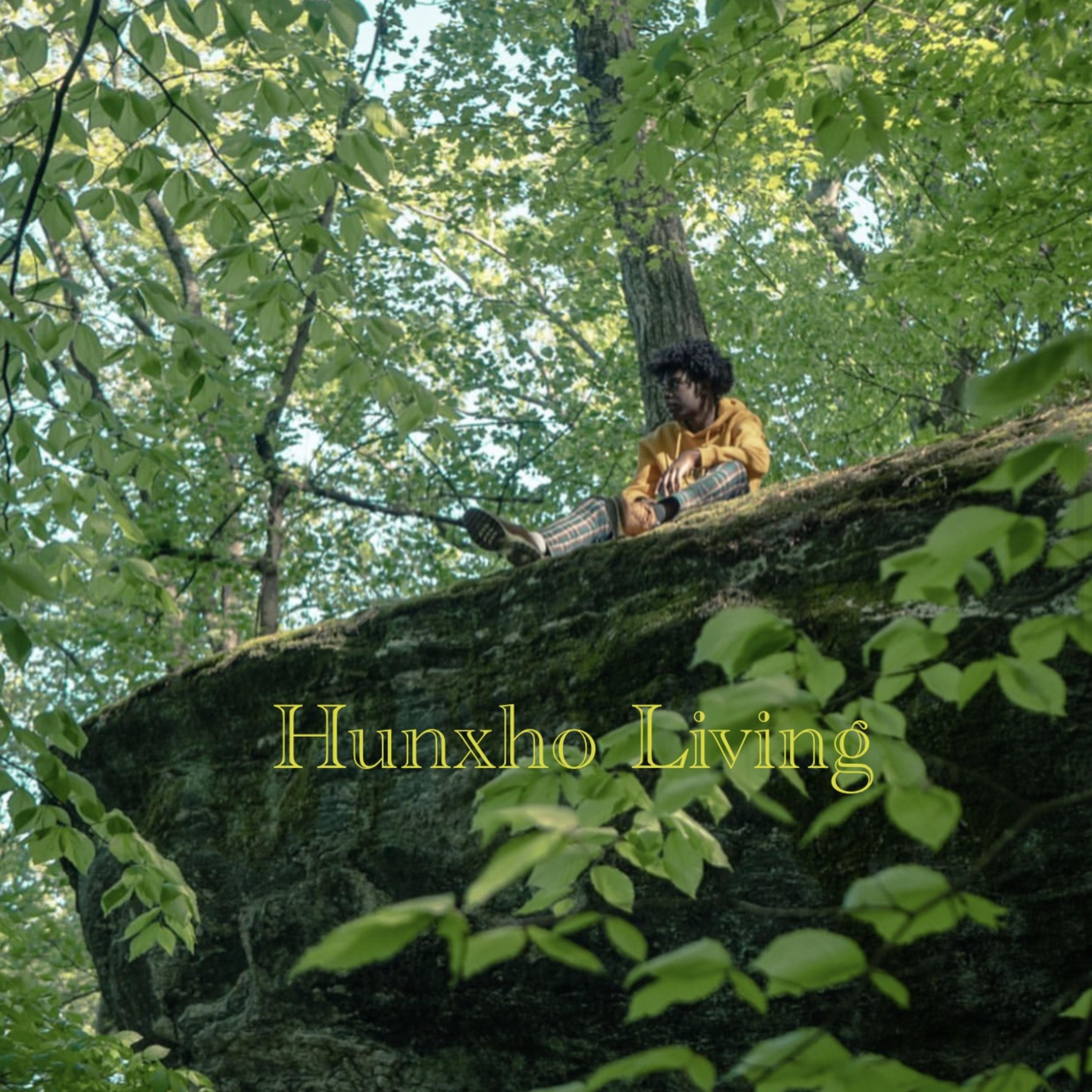 Hunxho Living artwork