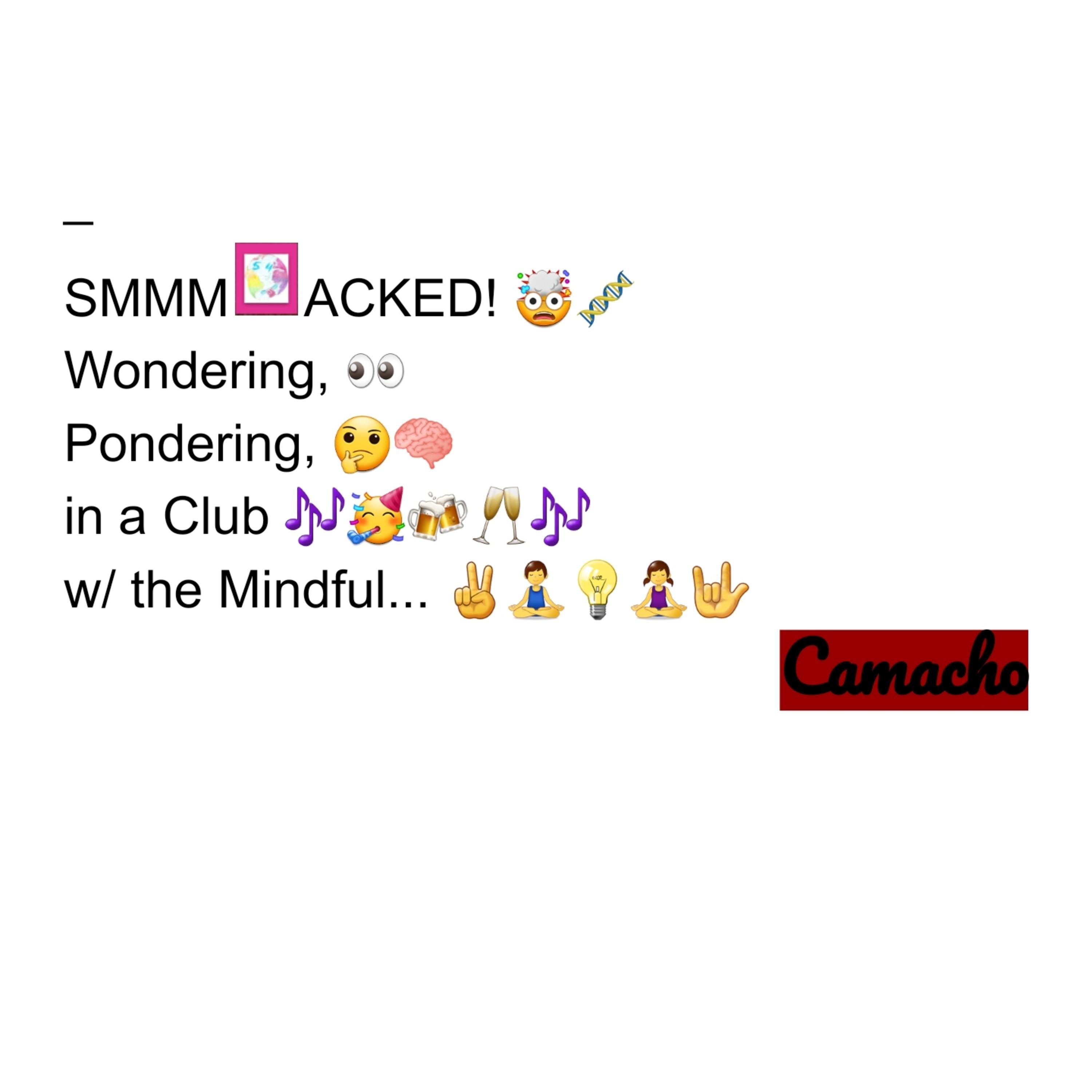 Smacked! Wondering, Pondering, in a Club With the Mindful... artwork
