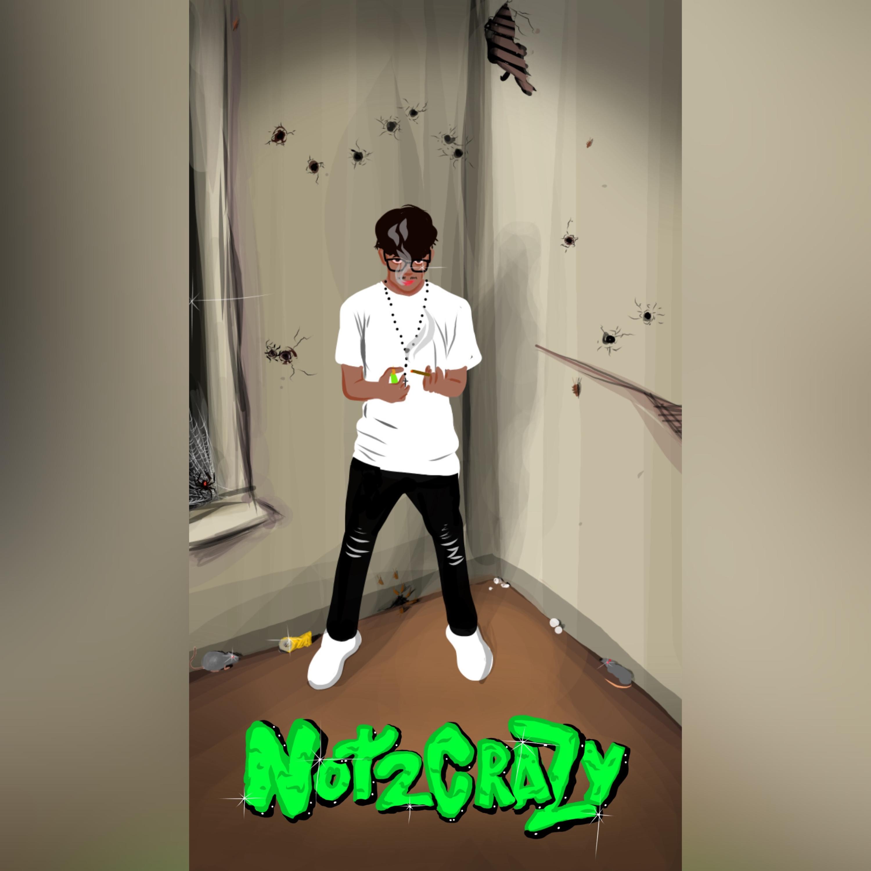 Not 2 Crazy artwork