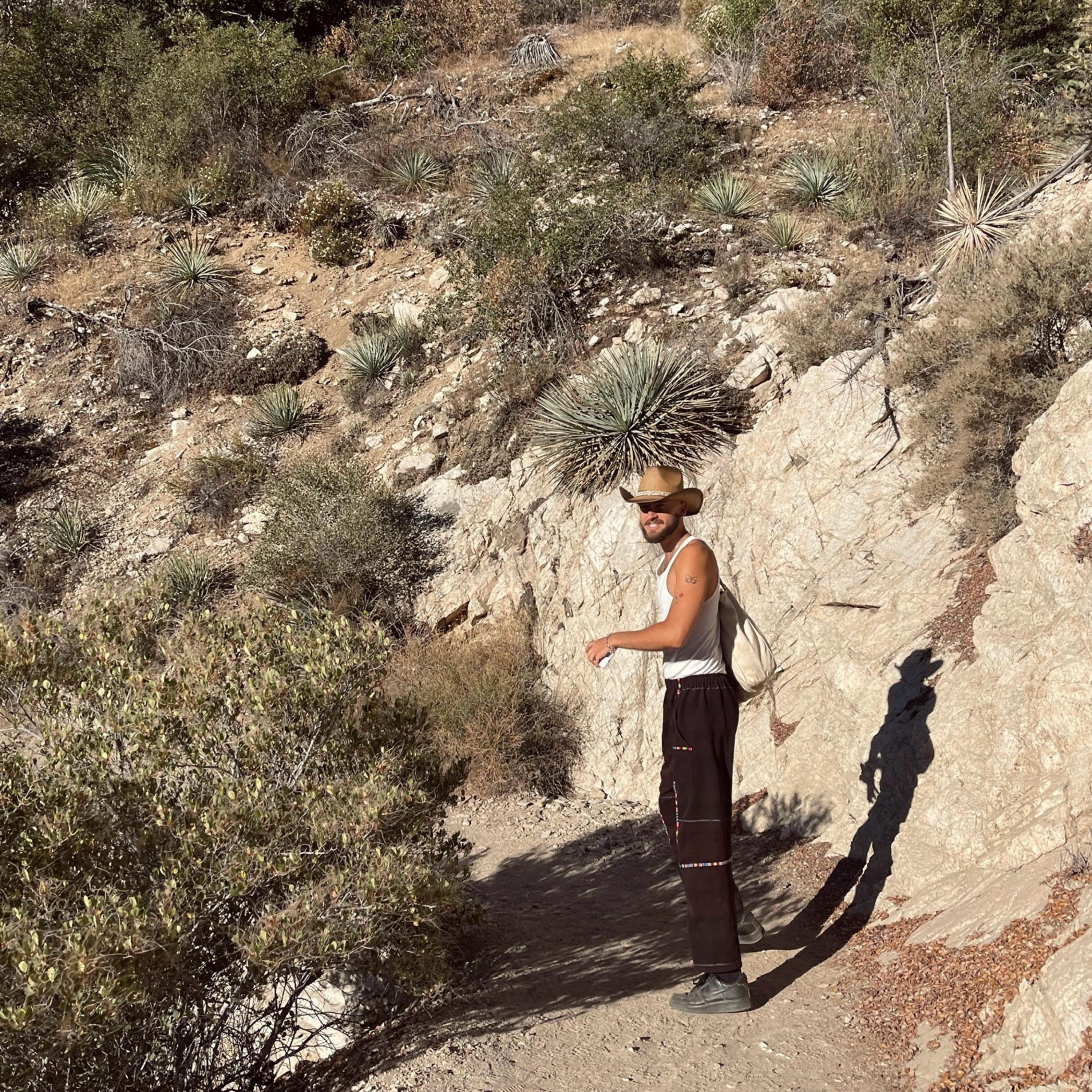 cant go to Topanga artwork