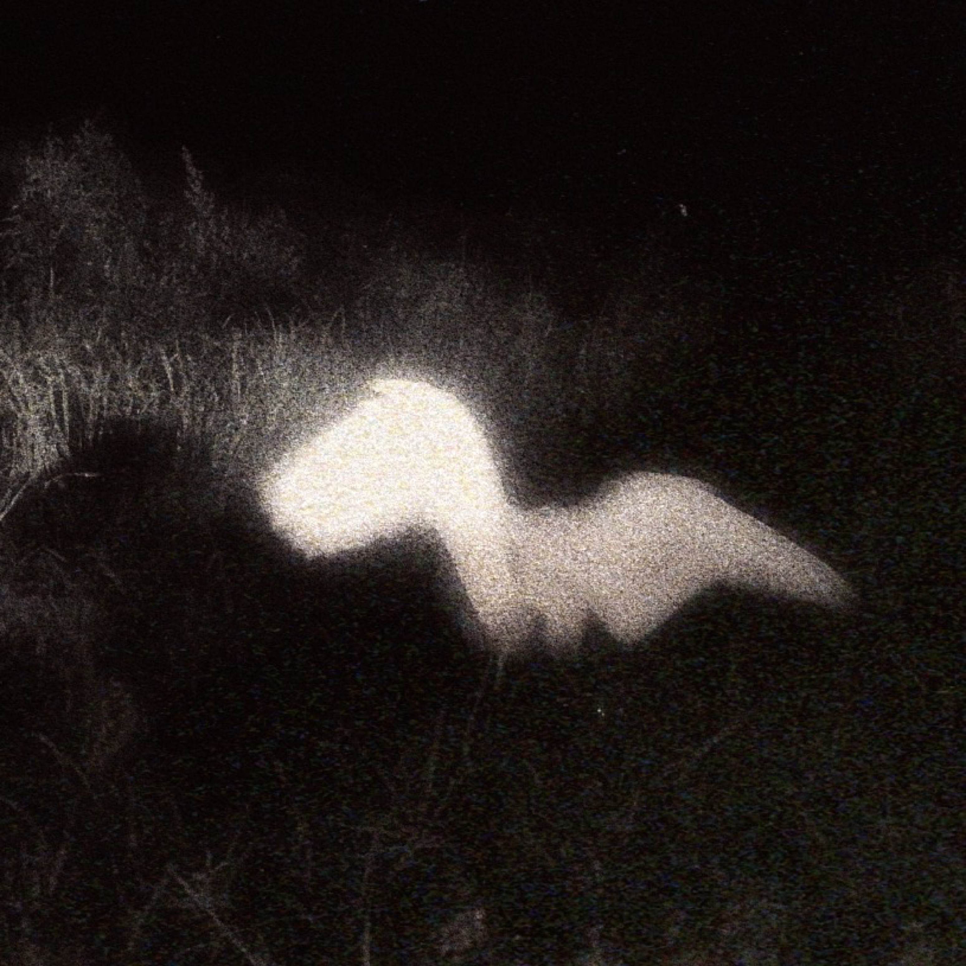 Rotten Angel artwork