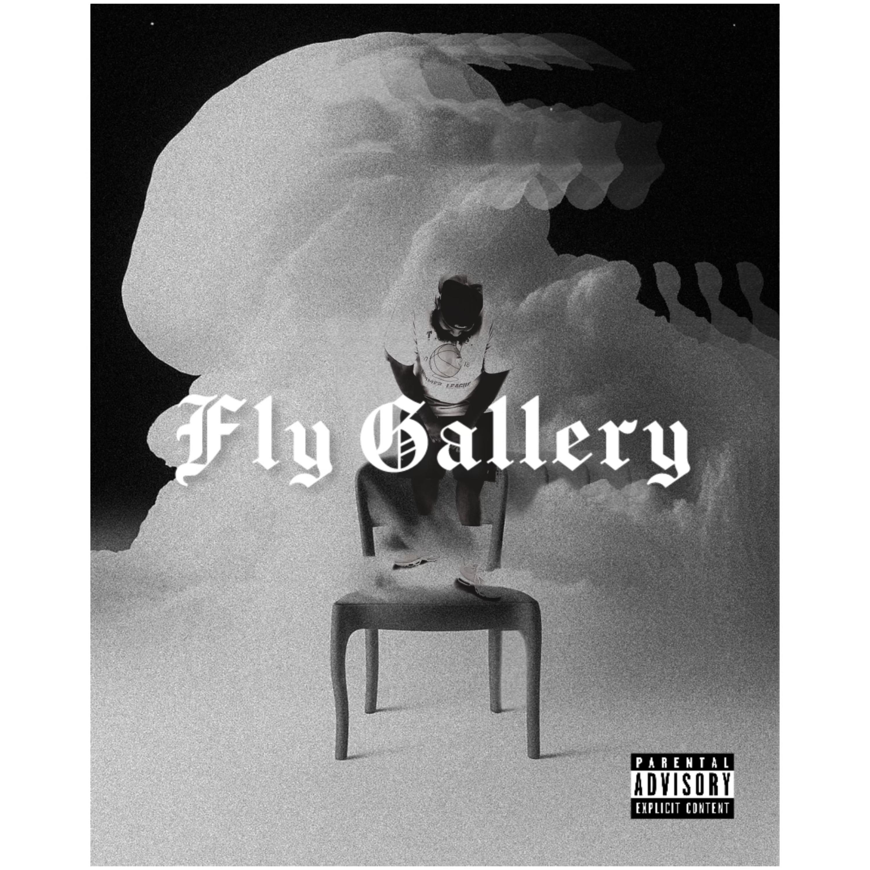 Fly Gallery artwork