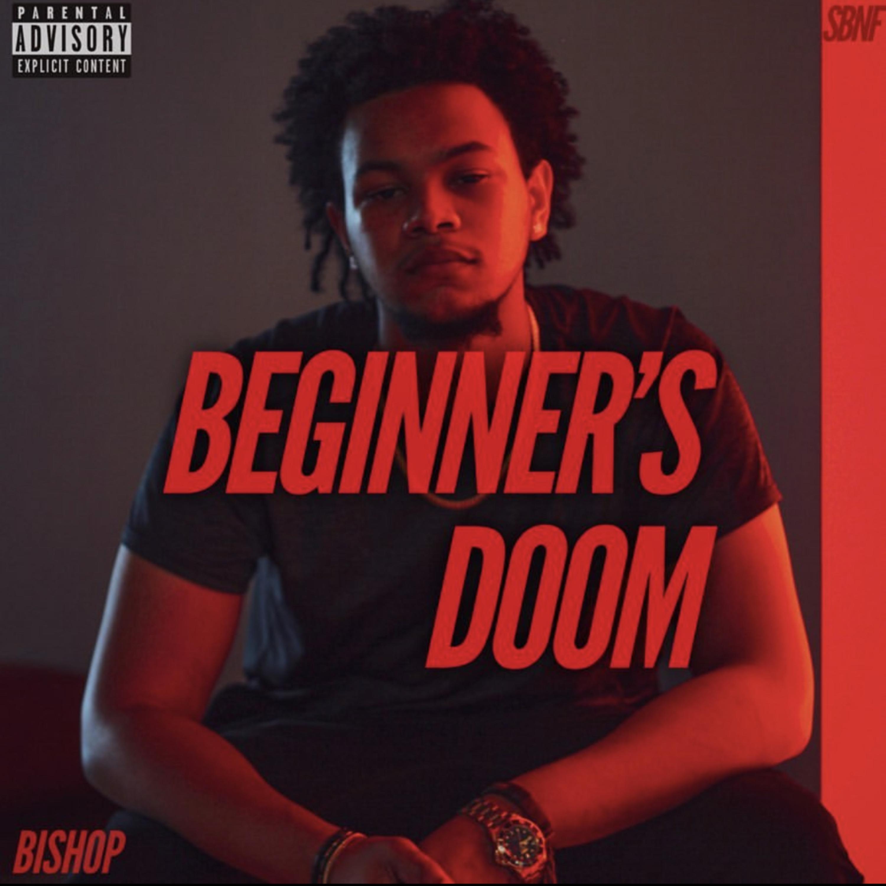 Beginner's Doom artwork