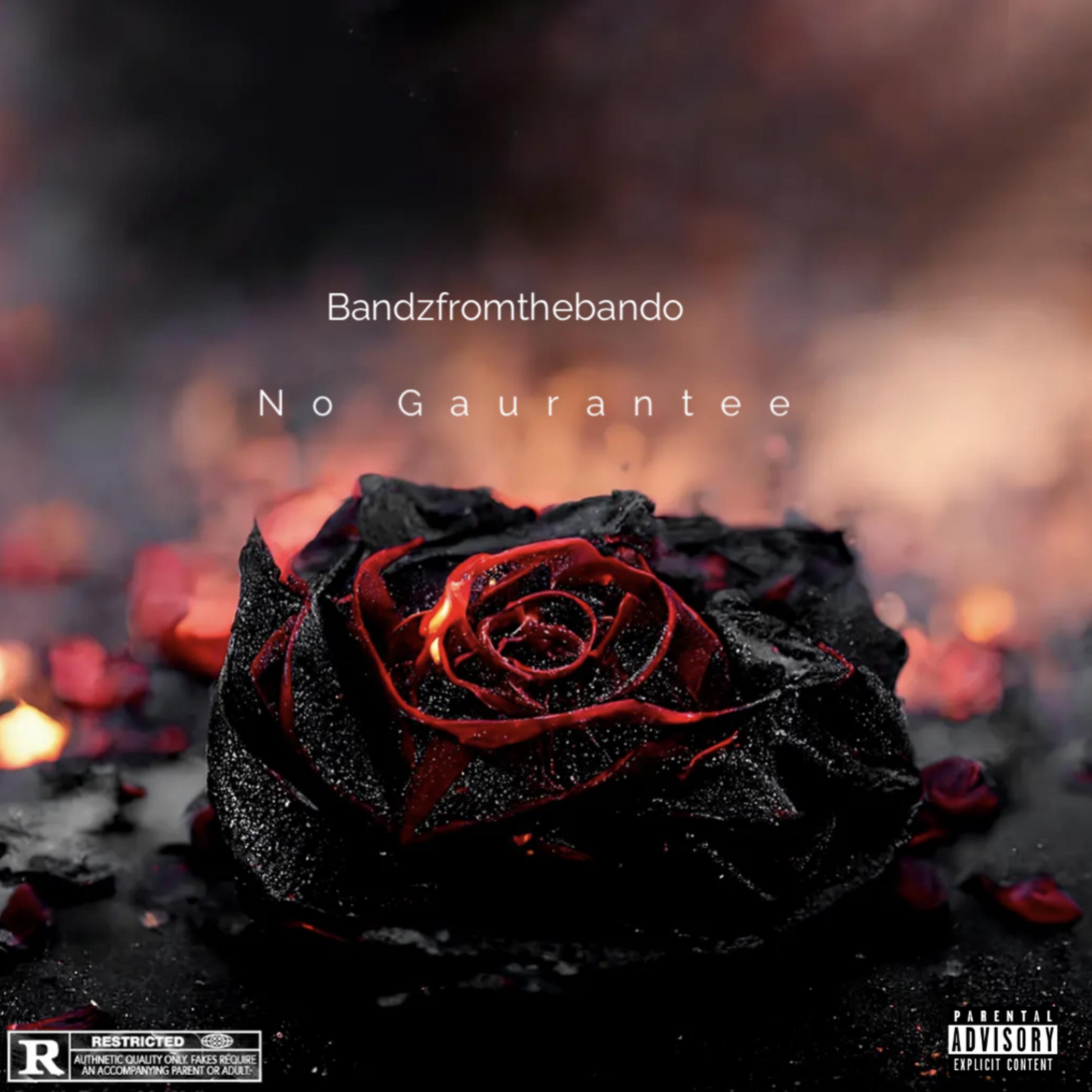 No Gaurentee artwork
