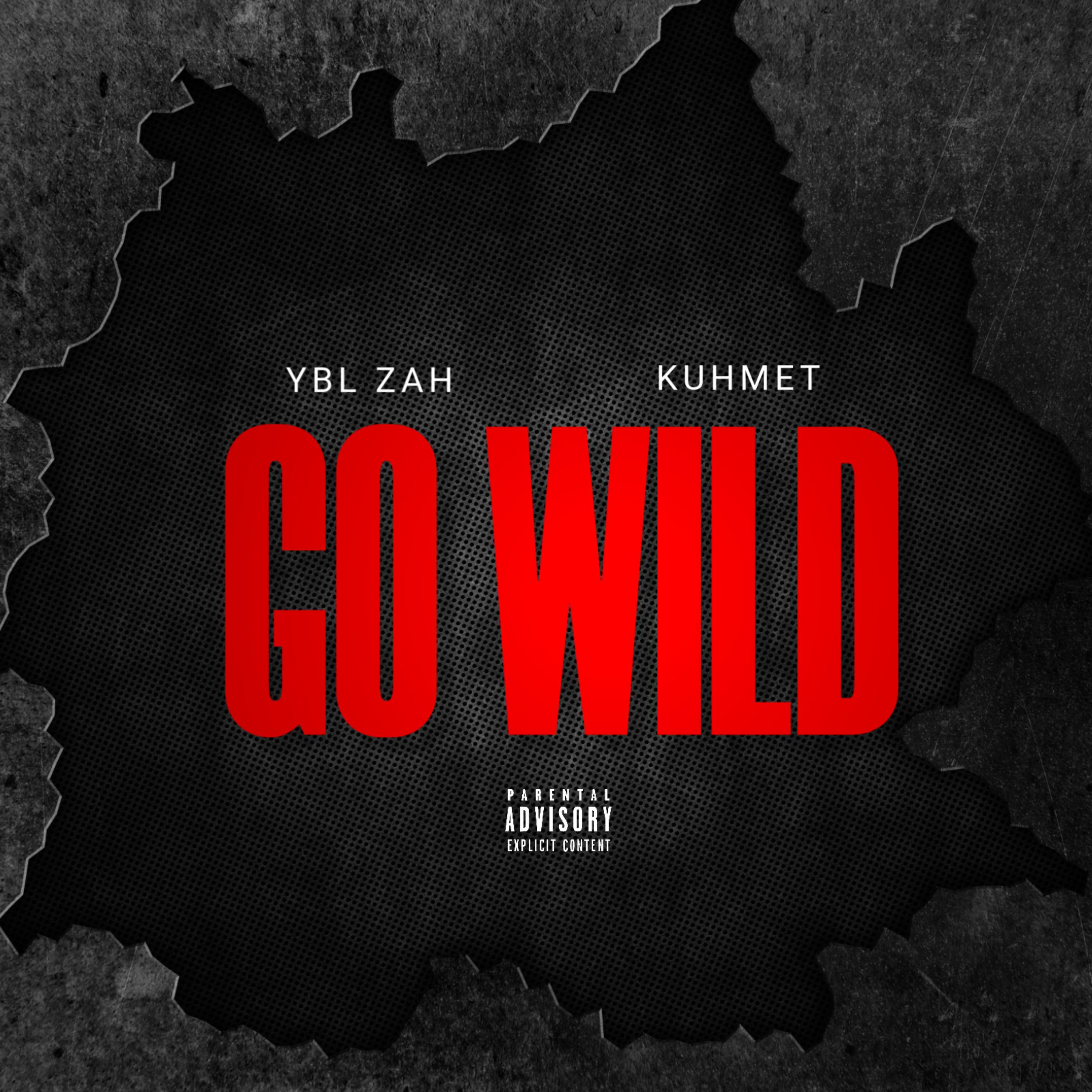 Go Wild artwork