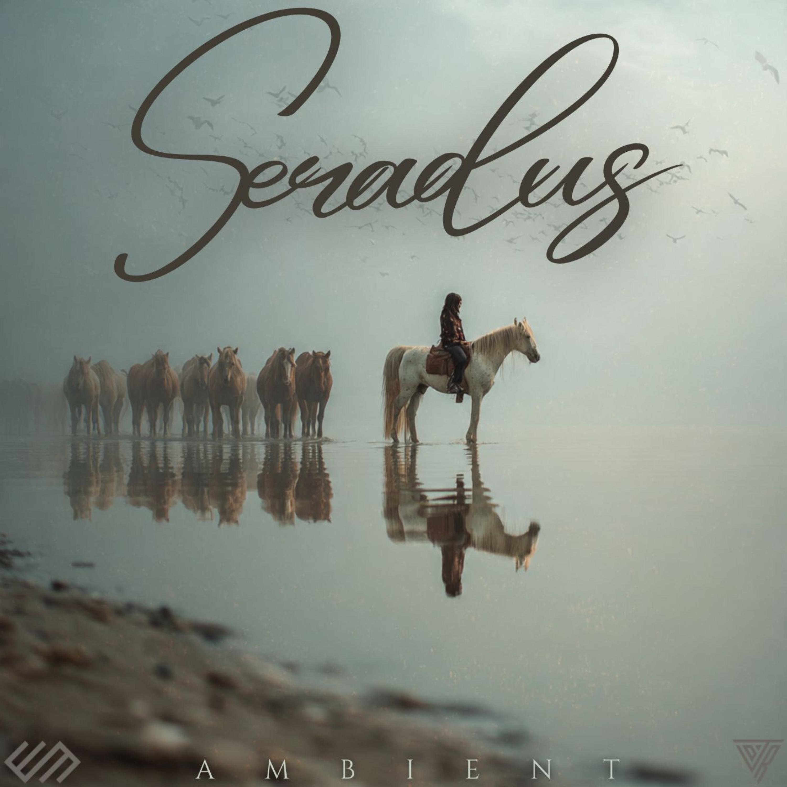 SERADUS AMBIENT artwork