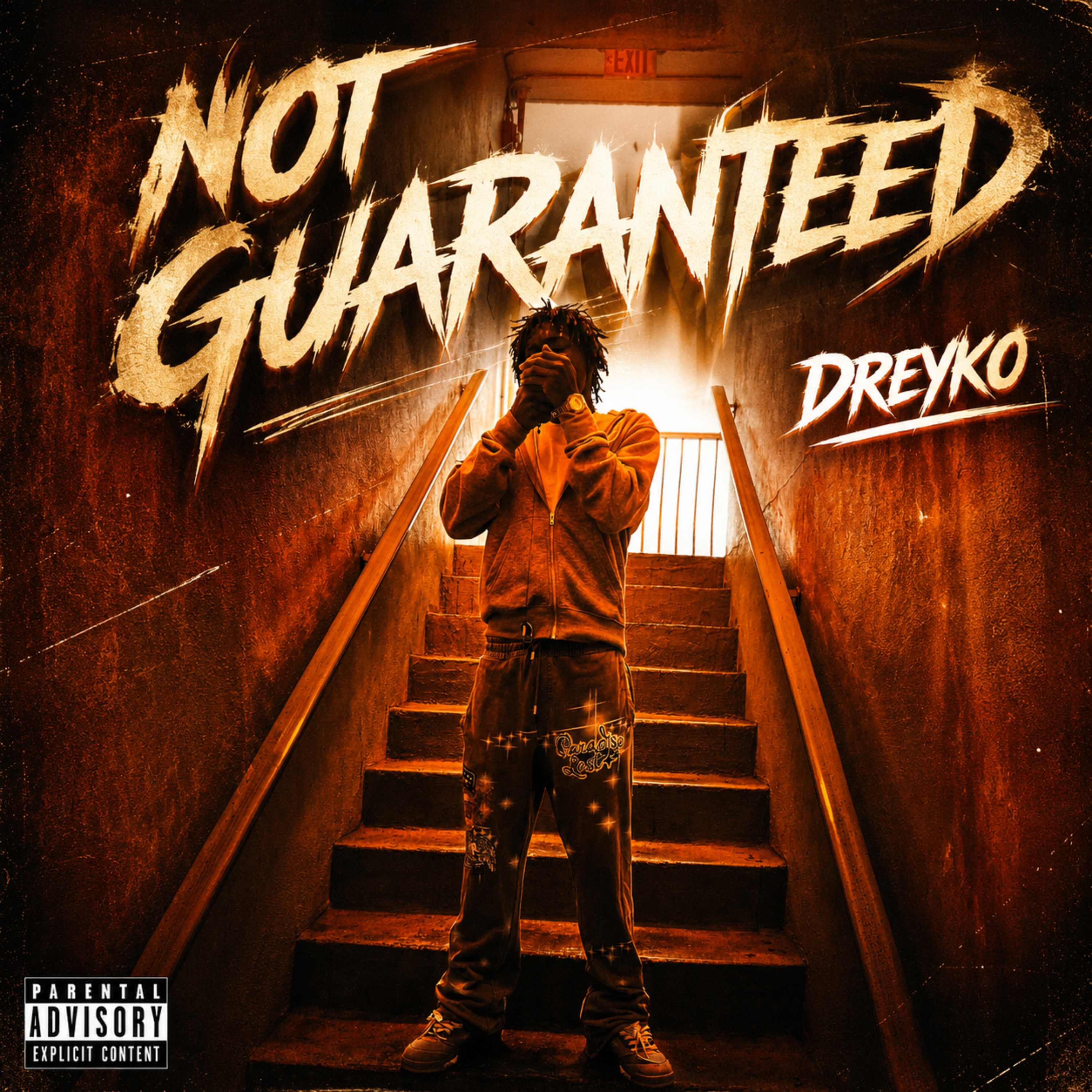 Not Guaranteed by DREYKO cover art
