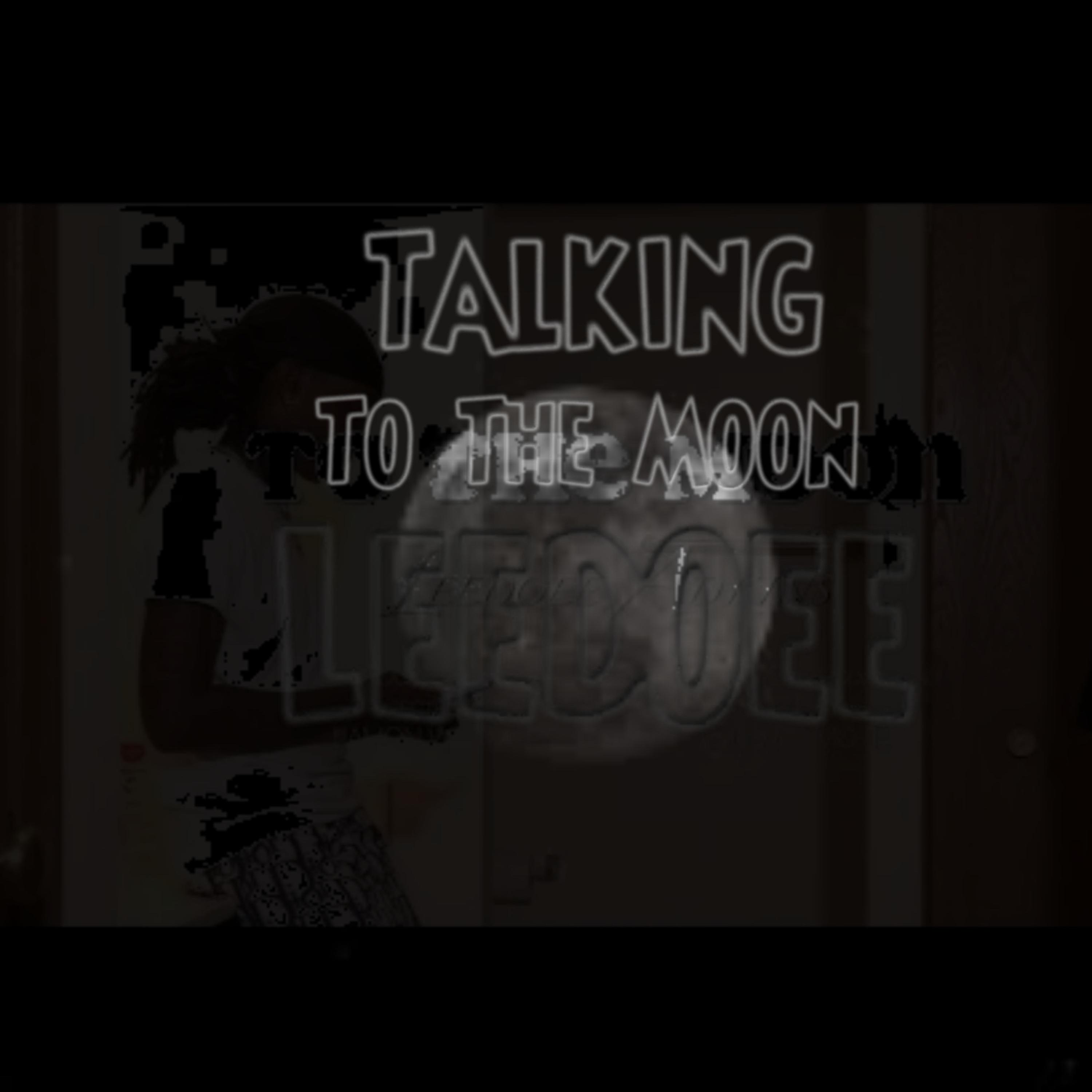 Talking To The Moon artwork