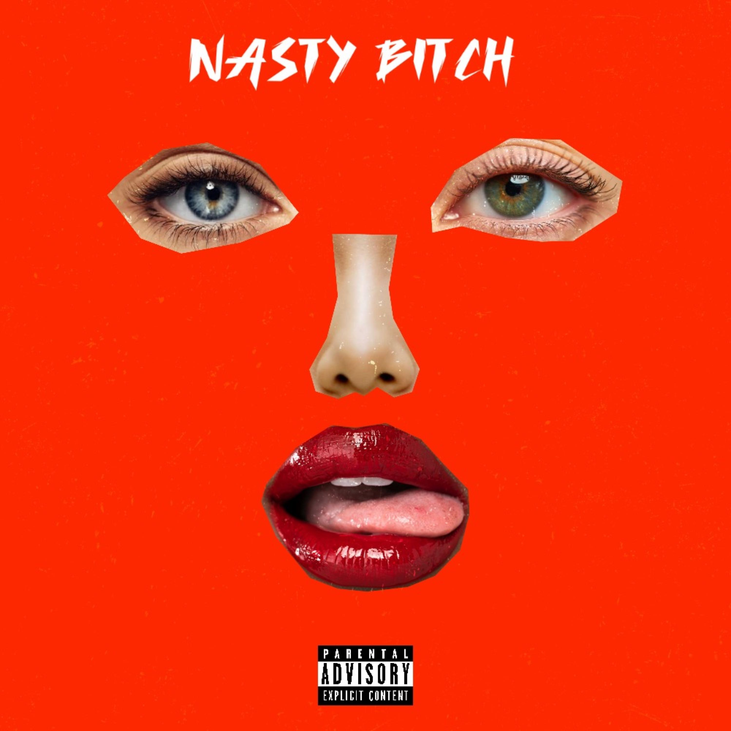 Nasty Bitch artwork