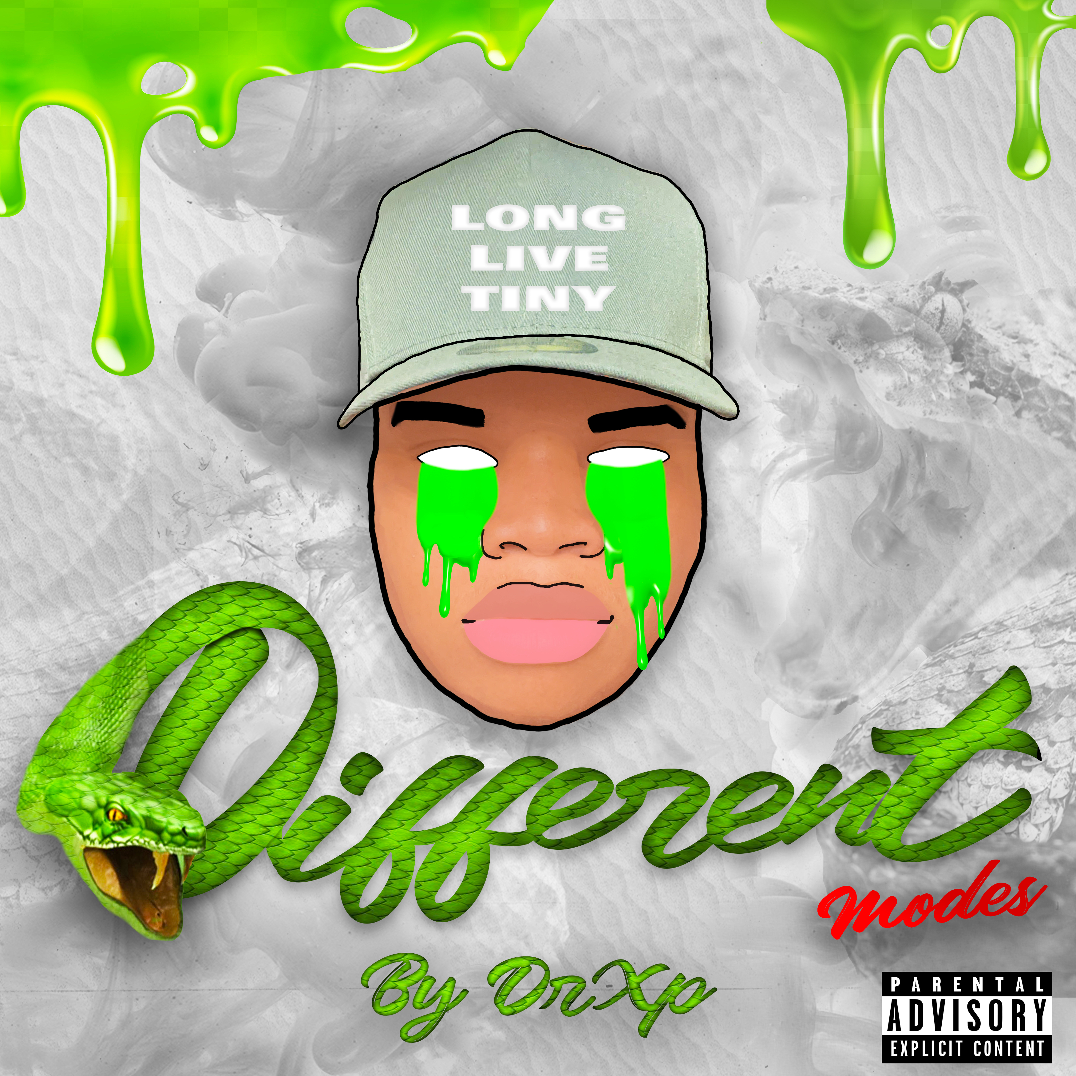 DIFFERENT MODES artwork